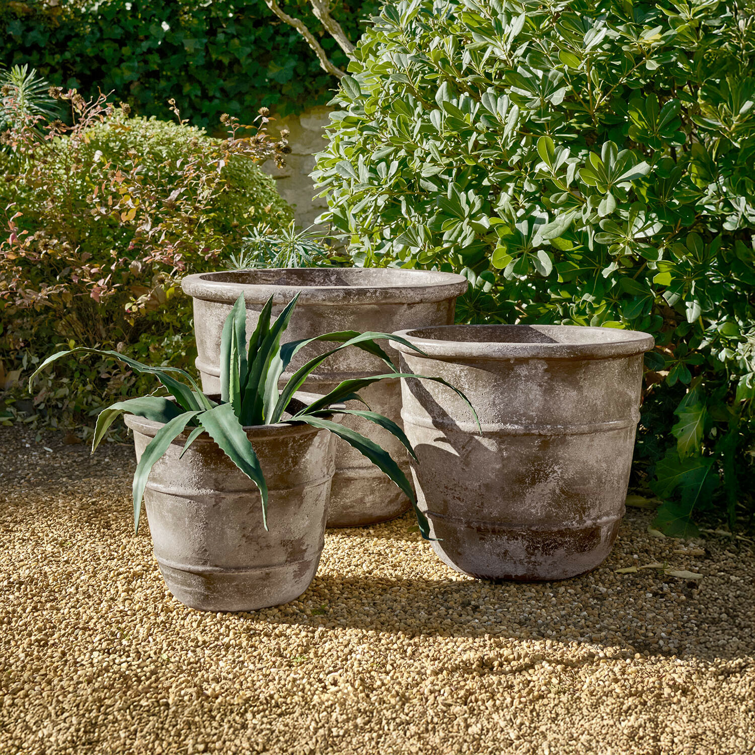 Tres grandes macetas de piedra gris sobre grava en jardín con plantas verdes alrededor