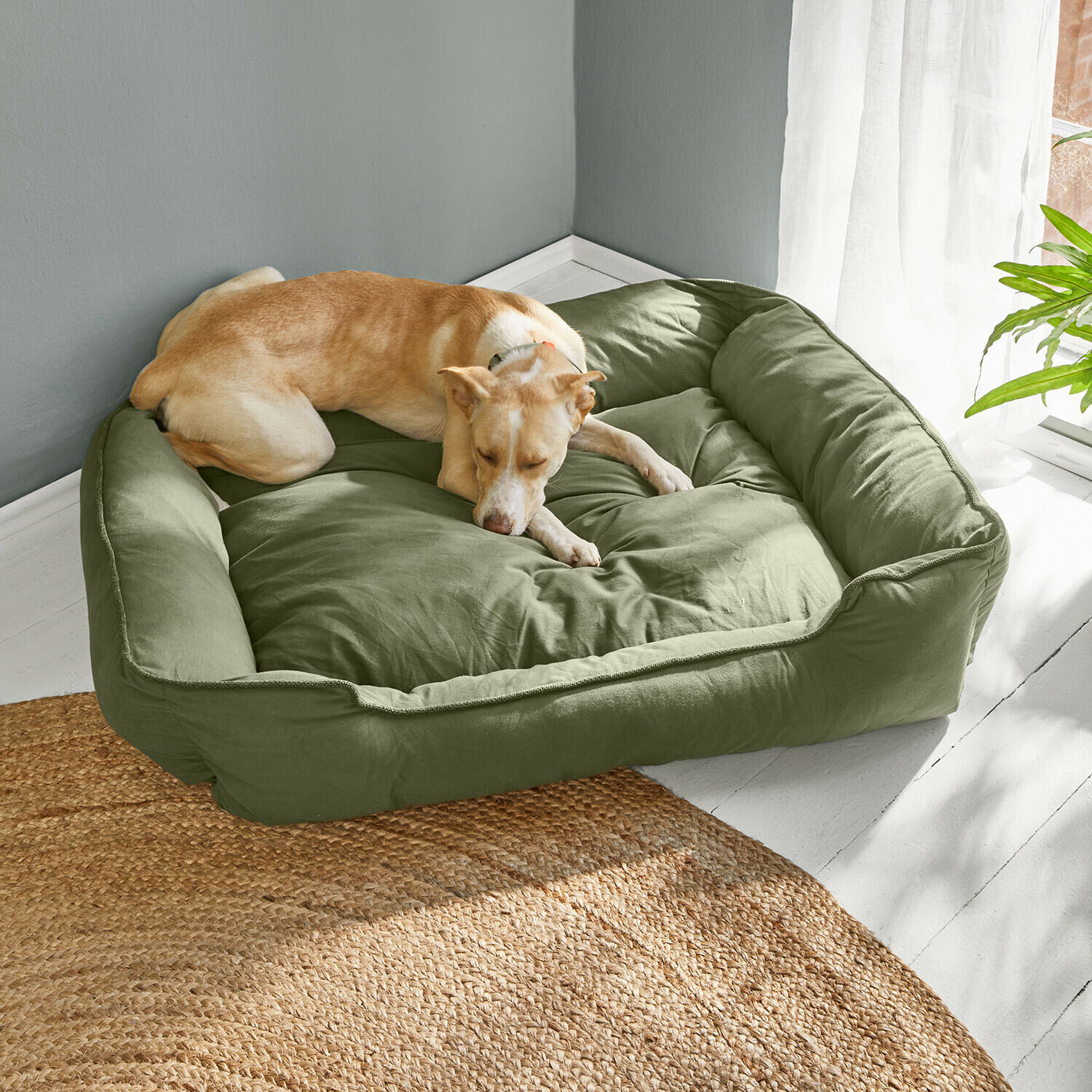 Cama para mascotas Ivandelle