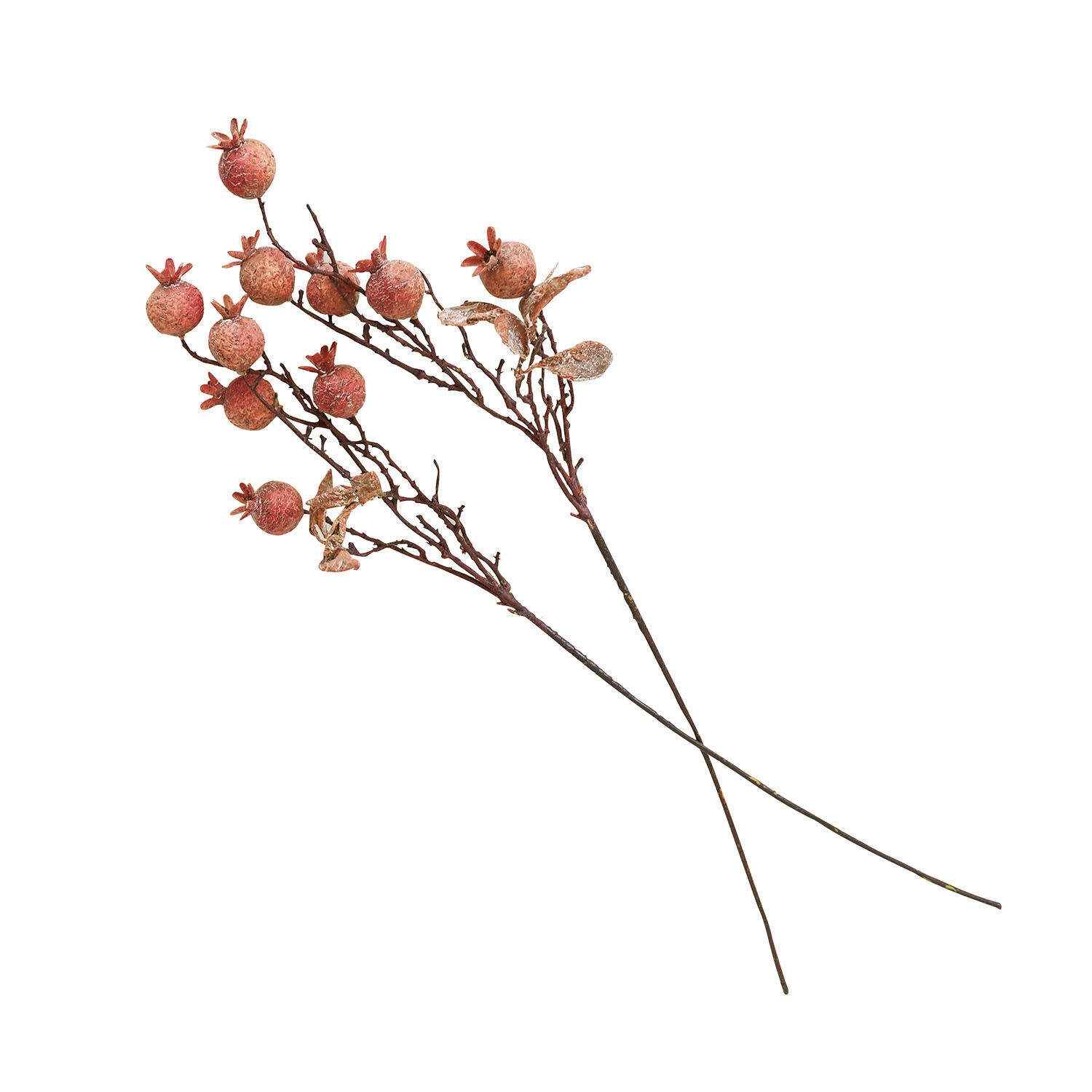 Set de 2 ramas decorativas Salviero