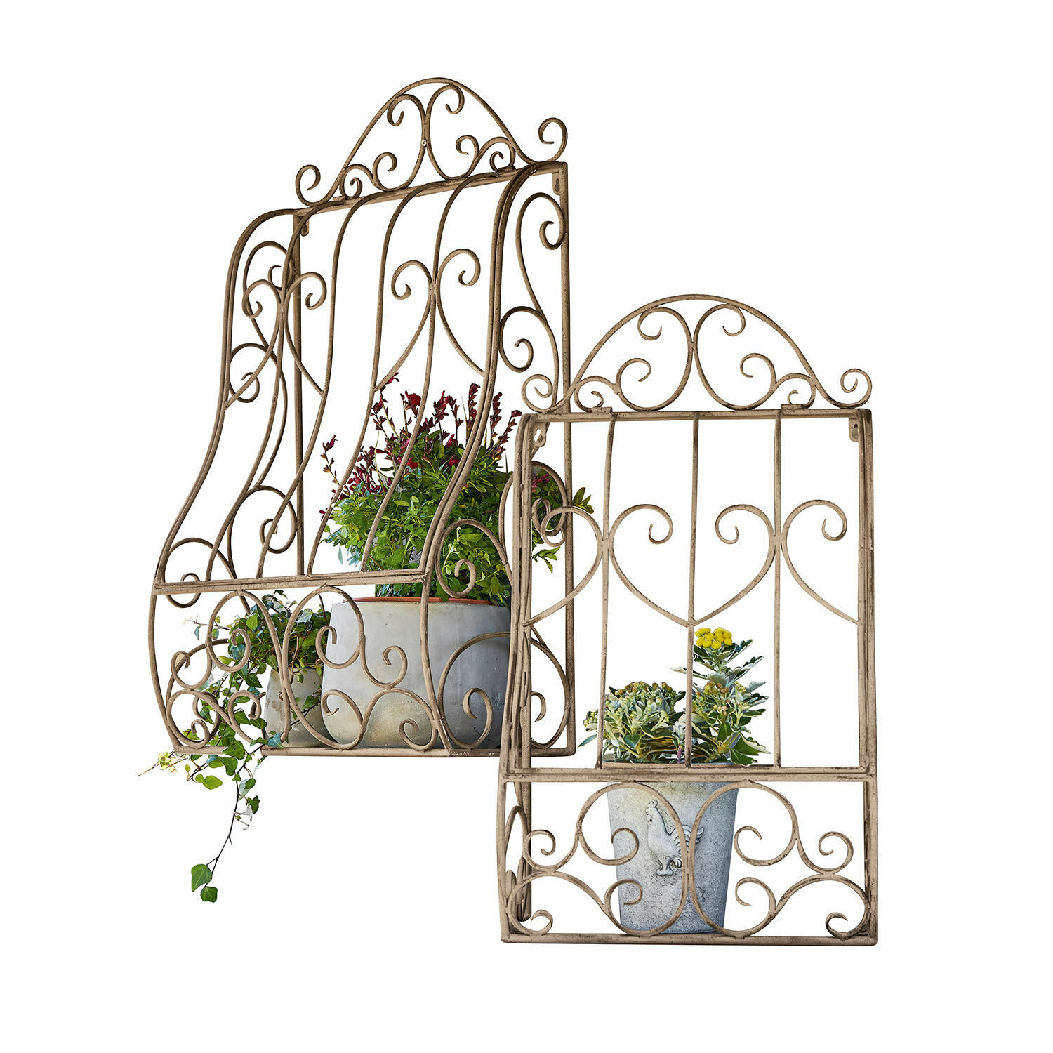 Set de 2 estantes de pared Alvra Reja decorativa de metal beige con plantas, perfecta para jardín y decoración interior