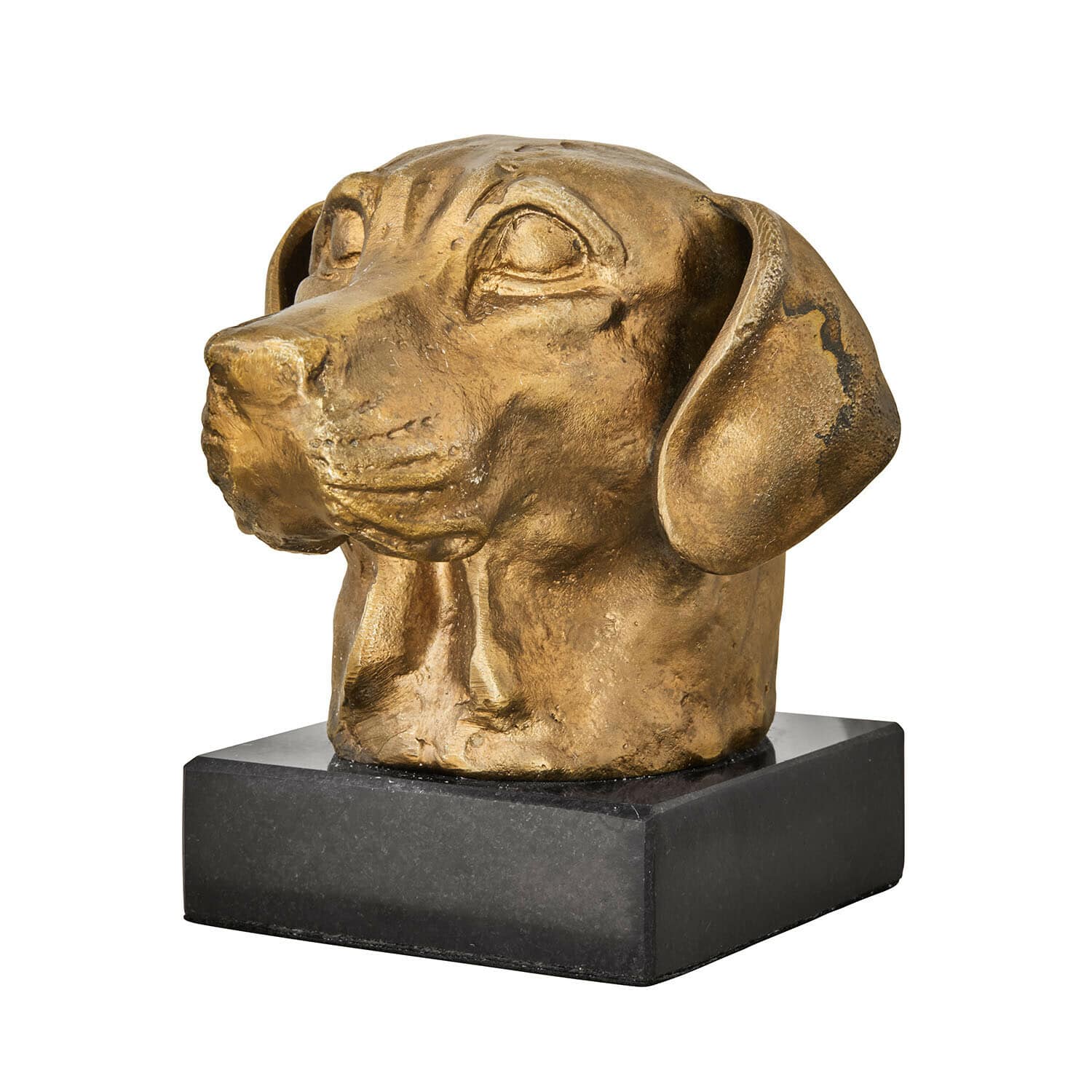 Busto Nareen