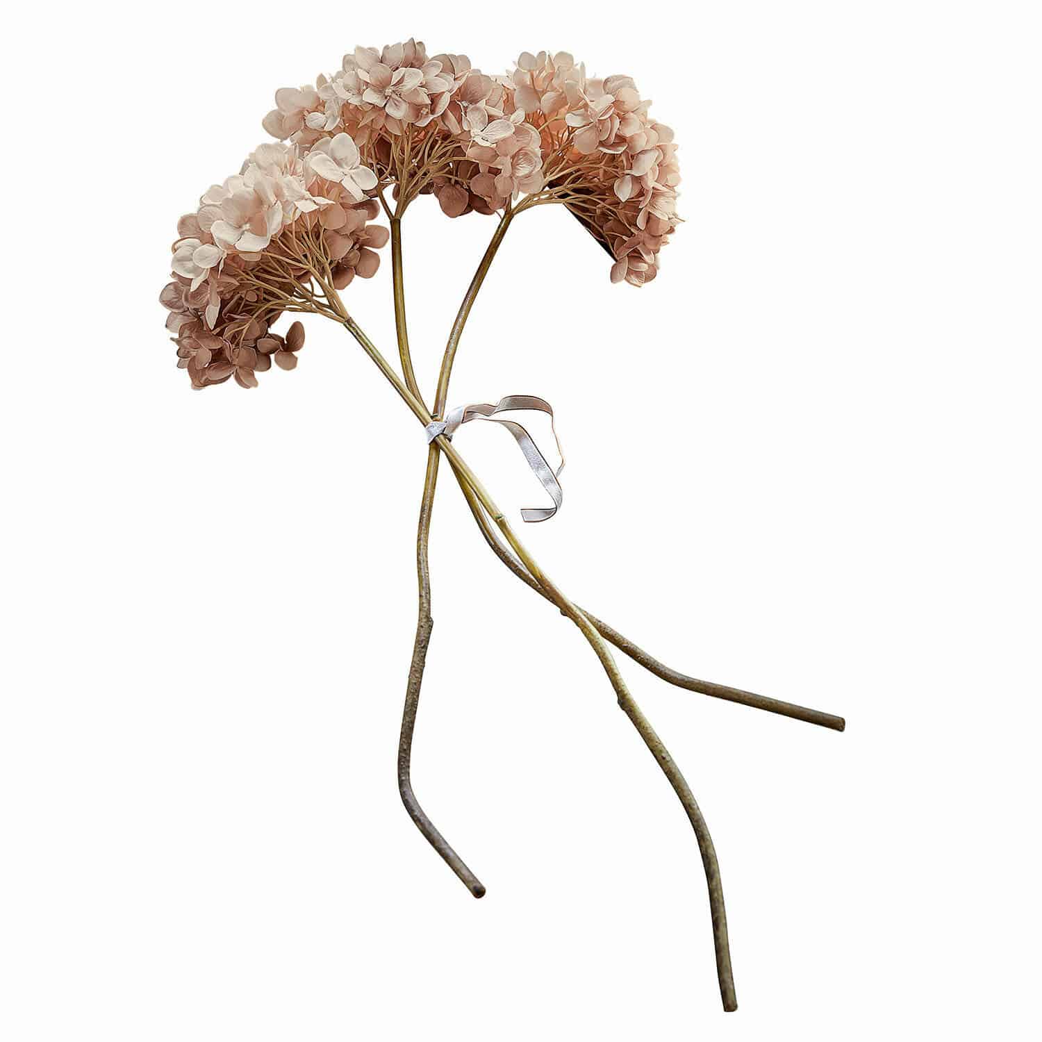 Set de 3 flores decorativas Amarente Ramo de flores secas de hortensia en tonos beige y marrón para decoración natural