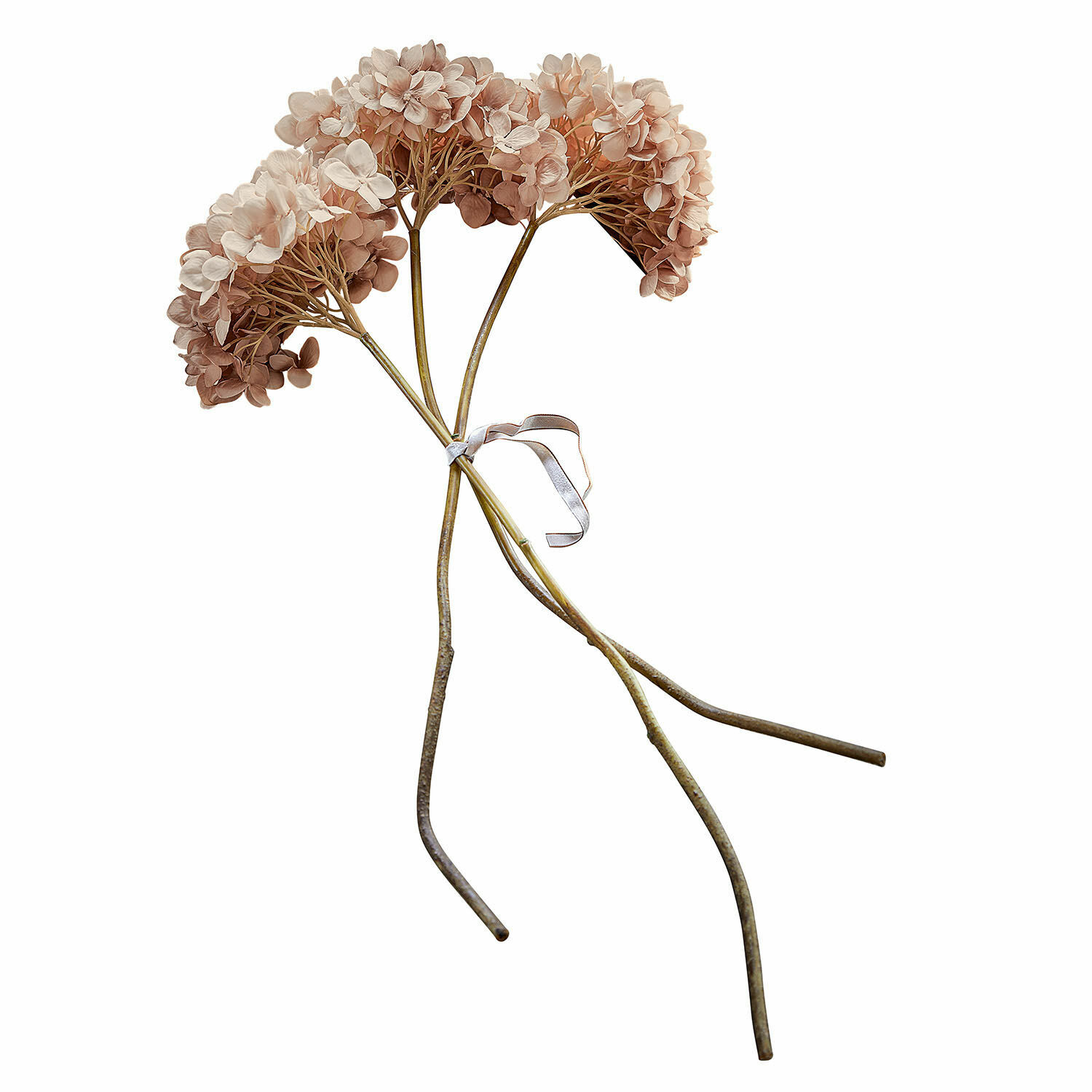 Set de 3 flores decorativas Amarente Ramo de flores secas de hortensia en tonos beige y marrón para decoración natural
