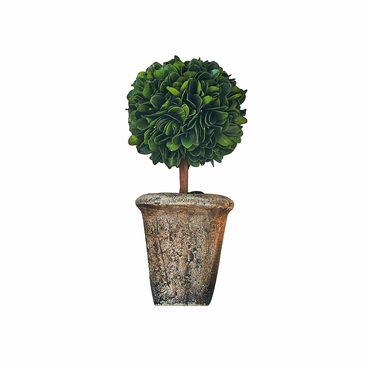 Árbol decorativo Aube