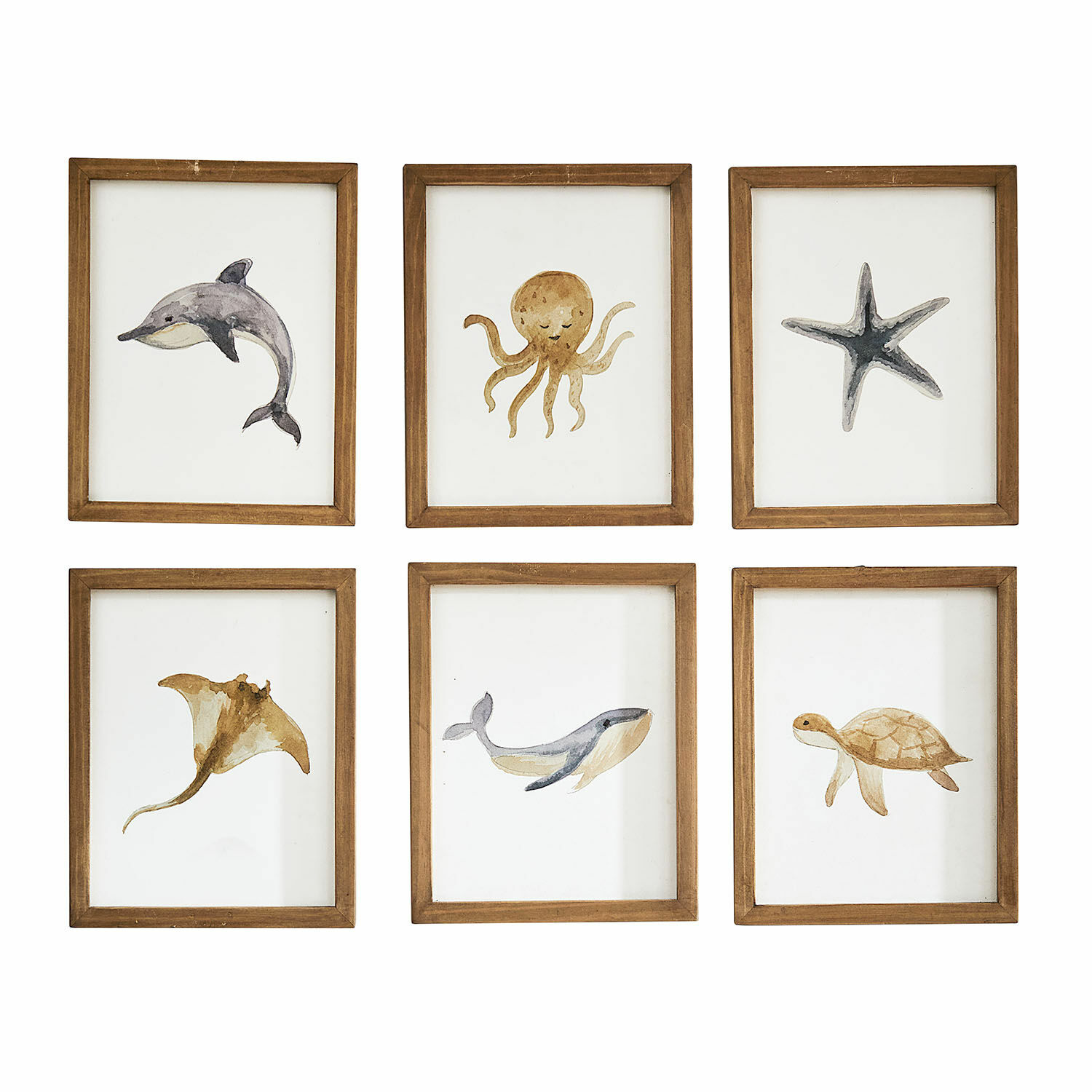 Juego de 6 cuadros de acuarela Nibblu Conjunto de seis marcos de madera con pinturas en acuarela de animales marinos en colores naturales