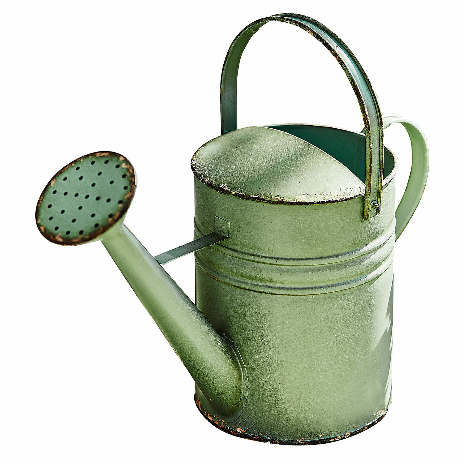 Regadera Elliana Regadera metálica verde con asa y pico para regar plantas de jardín