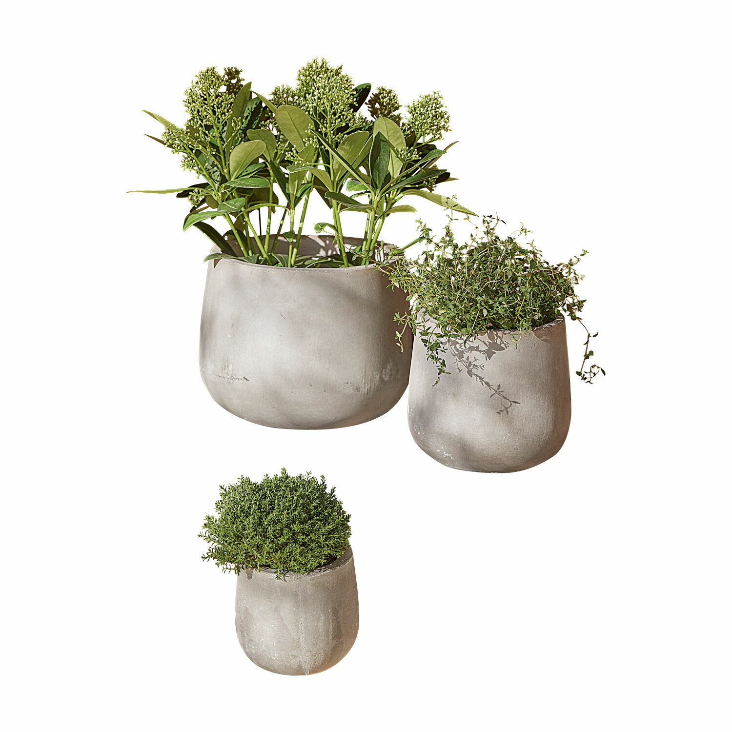 Set de 3 macetas Sunvale de hormigón gris con plantas verdes, decoración para interior y exterior