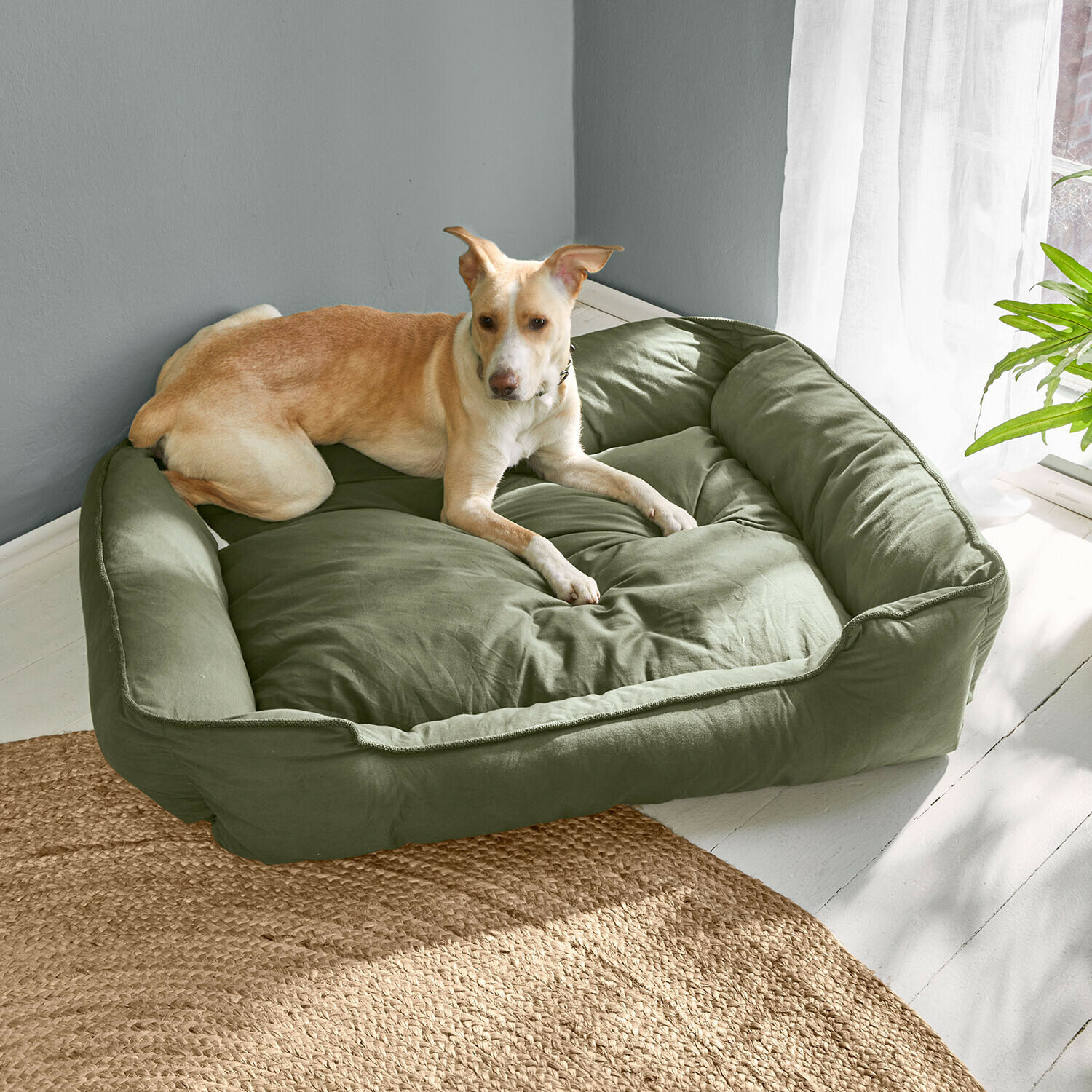 Cama para mascotas Ivandelle