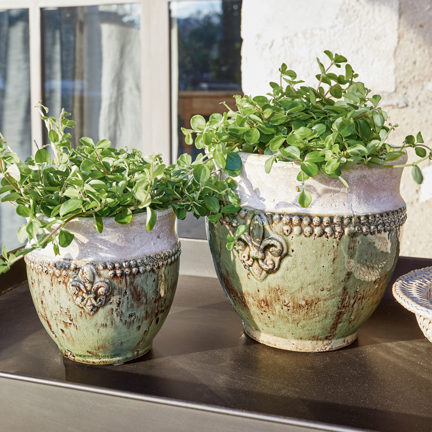 Set de 2 macetas Montcony Dos macetas de cerámica verde y beige con plantas sobre mesa de jardín al sol