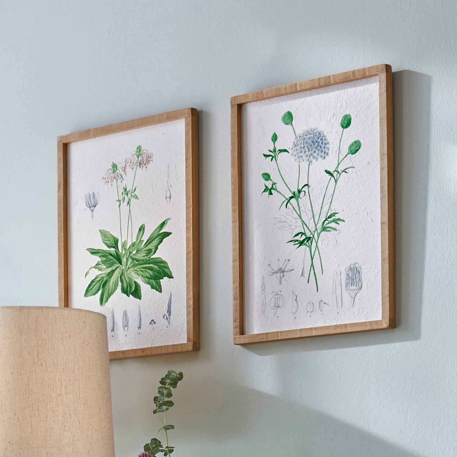 Set de 2 cuadros Botanic
