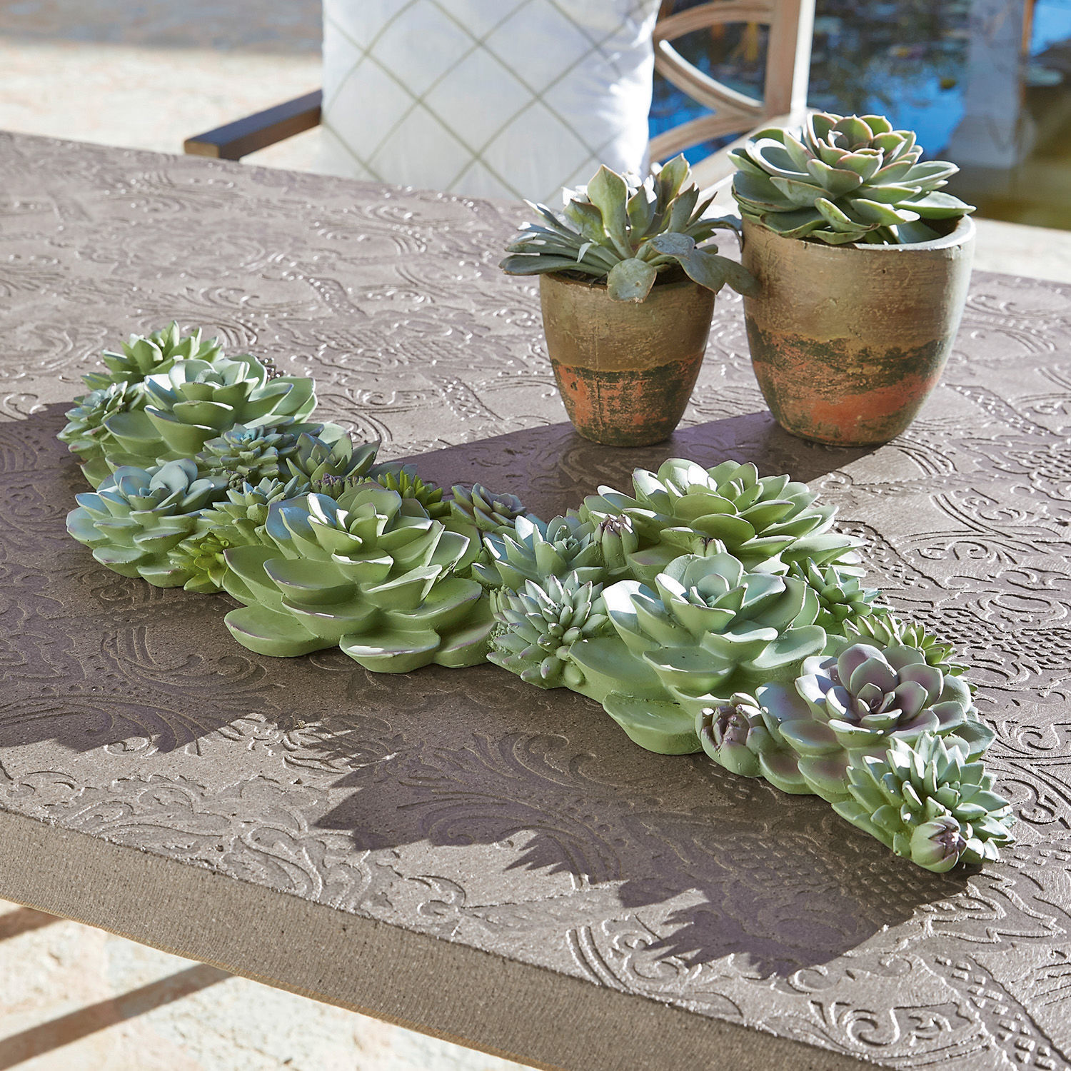 Planta decorativa Fema