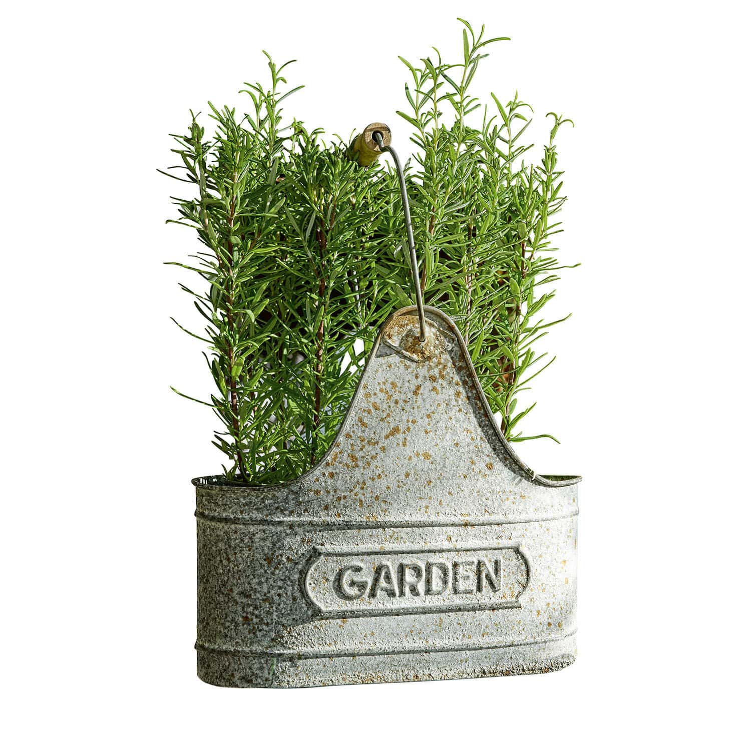 Cesta Garden