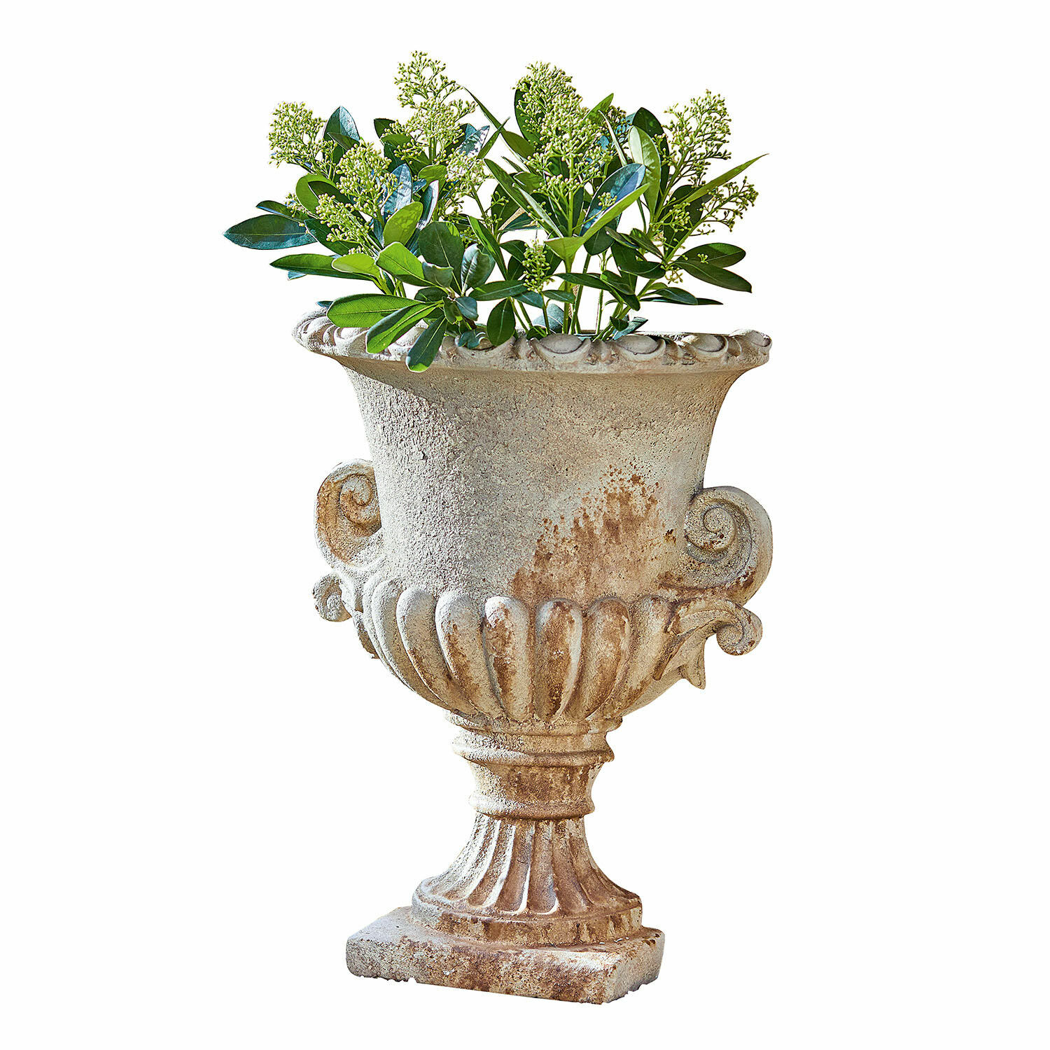 Ánfora Cevio Jarrón decorativo de piedra beige con hojas verdes, ideal para jardín o terraza