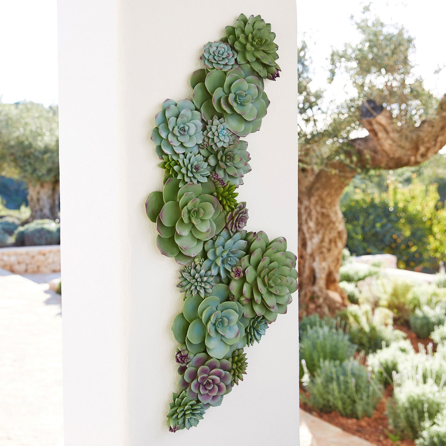 Planta decorativa Fema