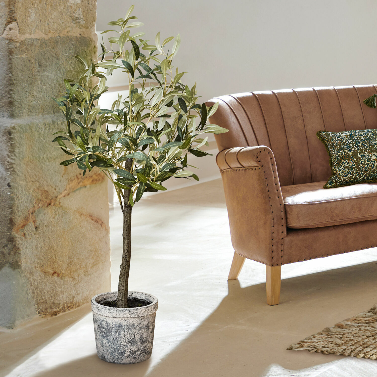 Planta decorativa Mariuccia