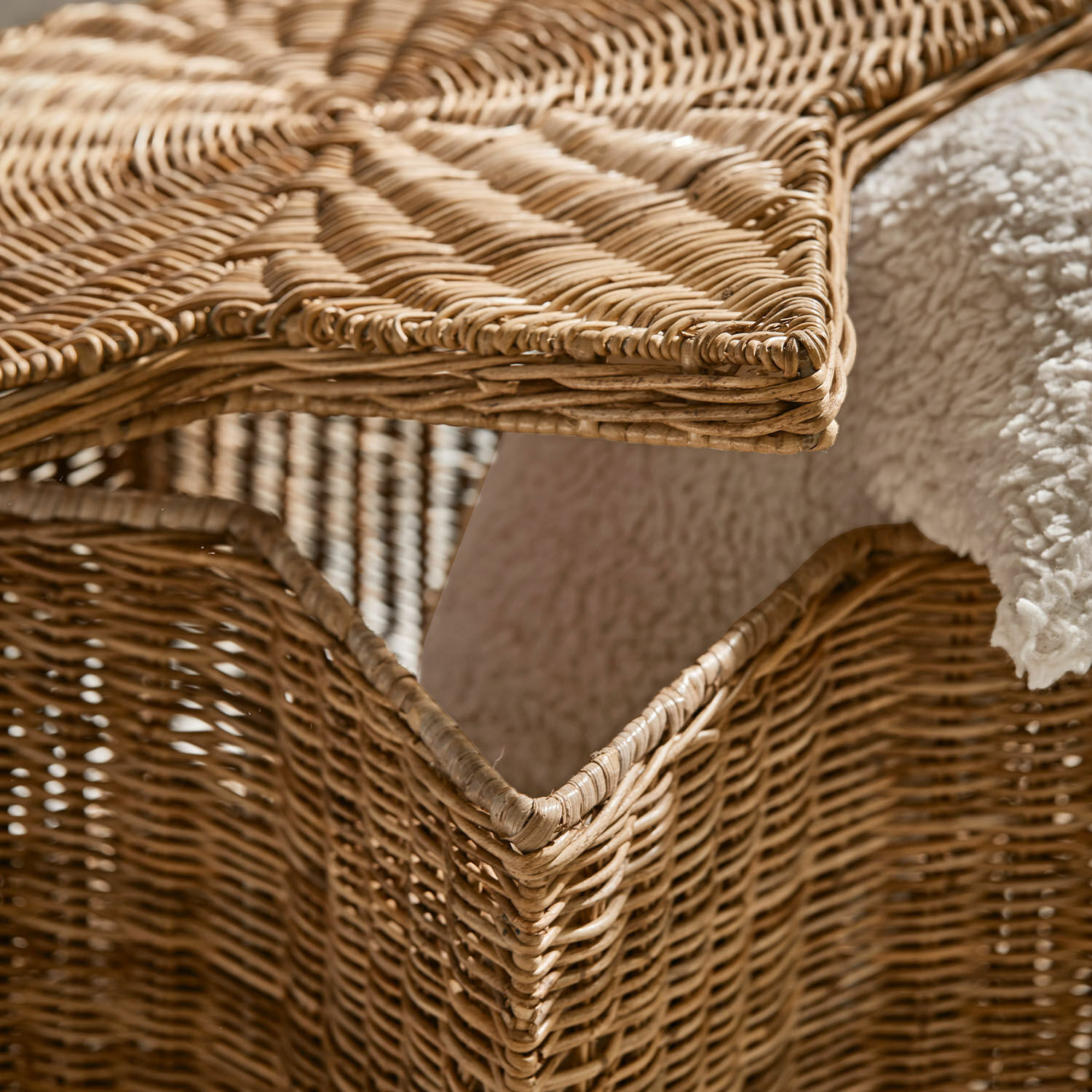 Cesta Rivolina