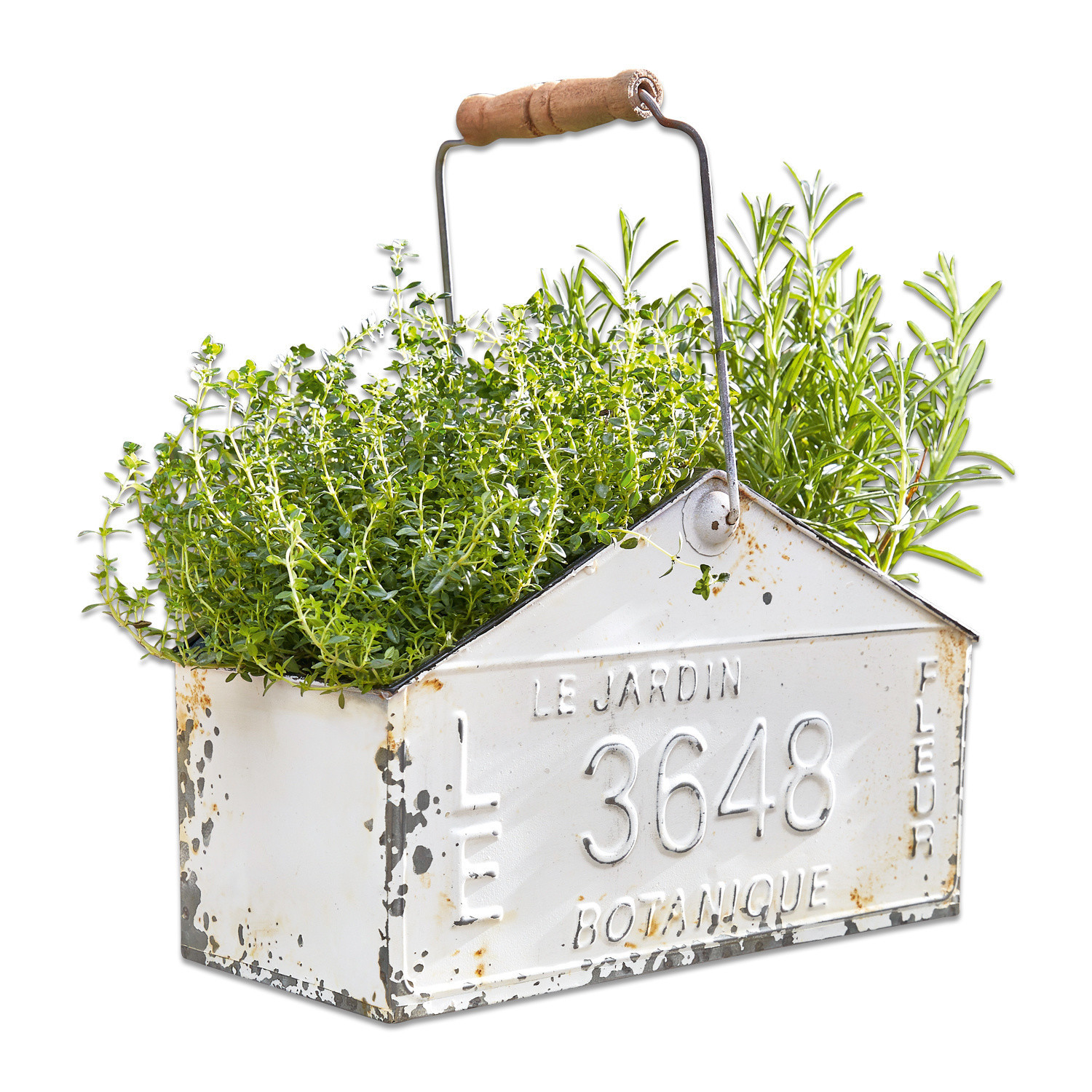 Cesta Botanique Maceta metálica blanca con asa de madera y hierbas verdes, decoración de jardín vintage