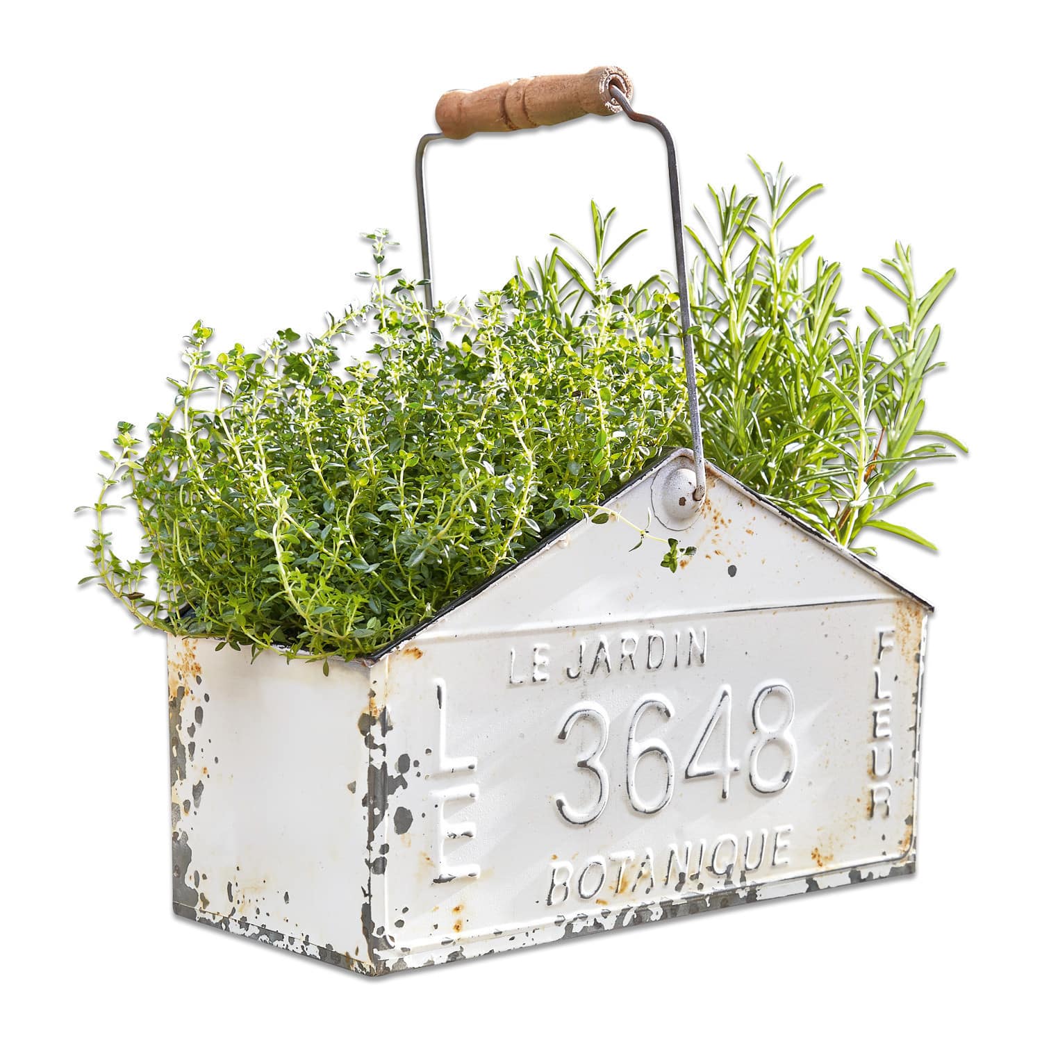 Cesta Botanique Maceta metálica blanca con asa de madera y hierbas verdes, decoración de jardín vintage