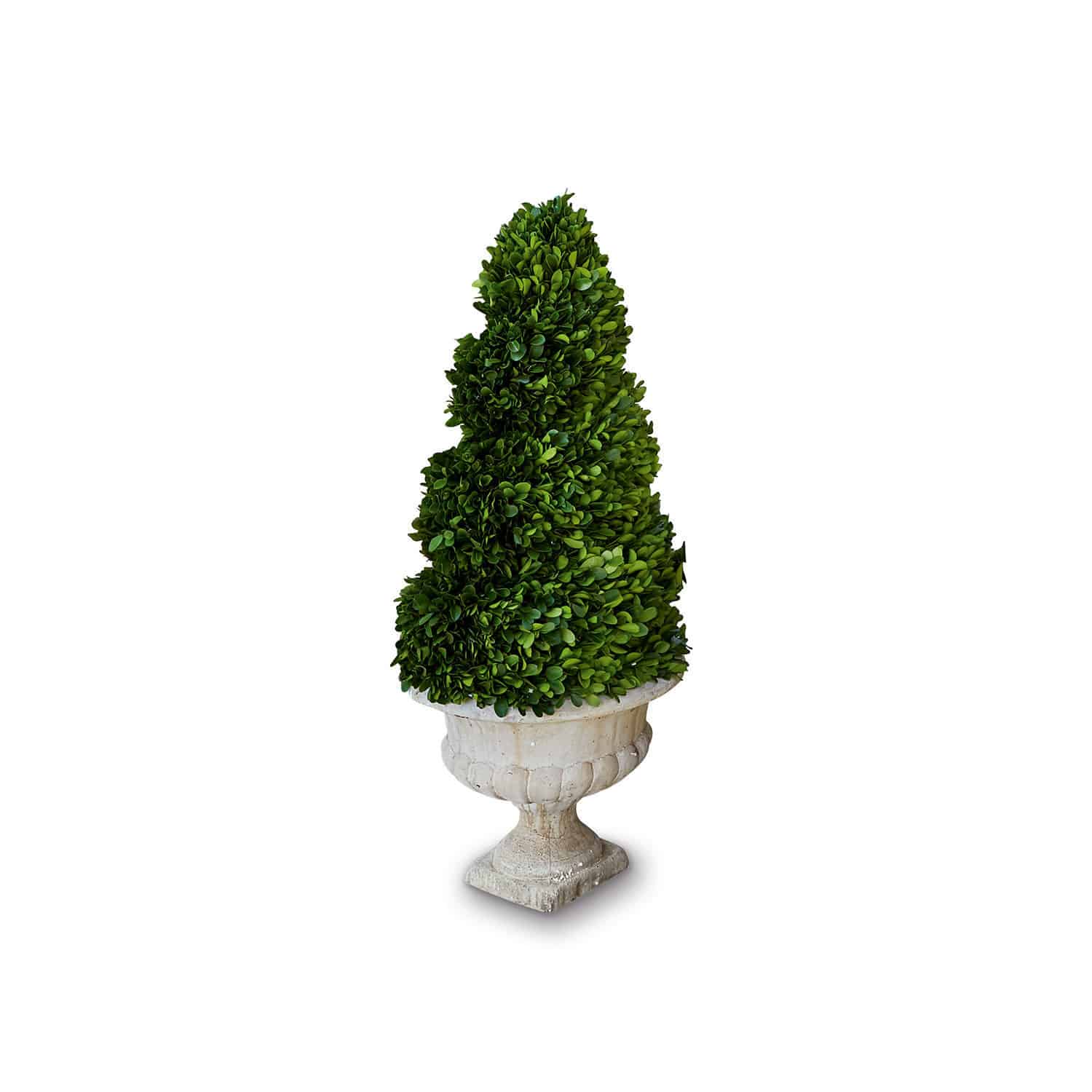 Árbol decorativo Humbria Árbol artificial de boj en maceta blanca decorativa de piedra para terraza y jardín