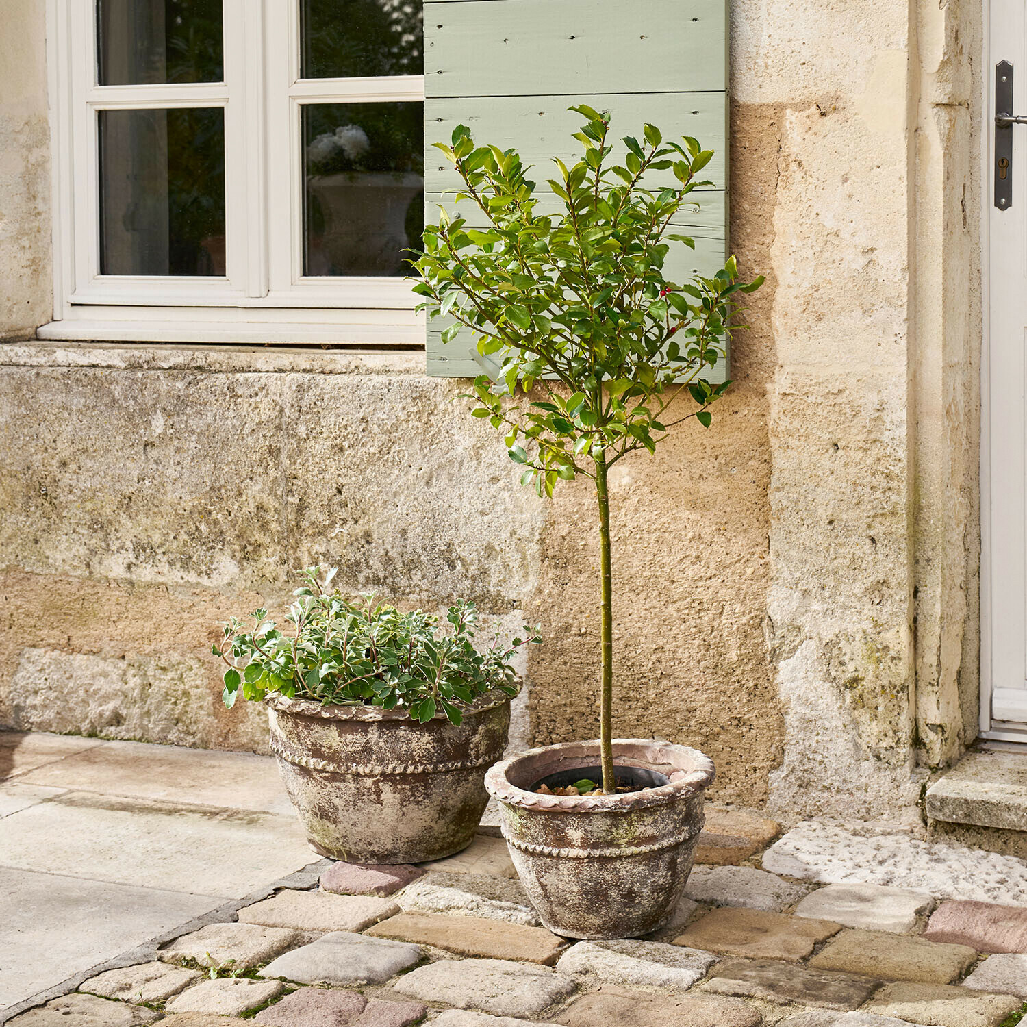 Set de 2 maceteros Montérise Dos macetas de terracota envejecida con plantas en un patio empedrado junto a una pared de piedra