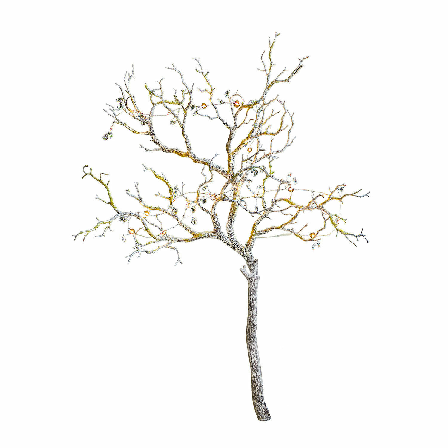 Rama decorativa Orélie Árbol decorativo de ramas metálicas en color natural para interiores y jardines