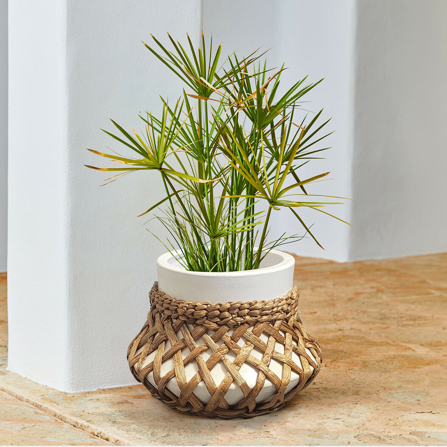 Maceta de cerámica blanca con funda de mimbre trenzado y planta verde sobre suelo de piedra