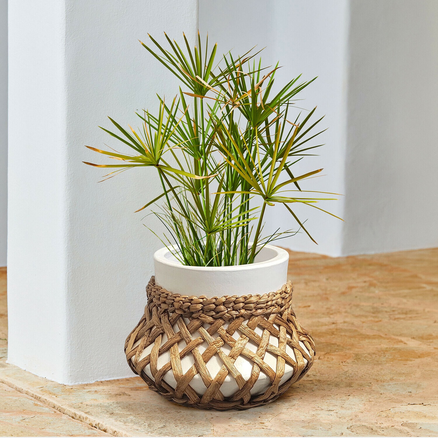 Macetero Amariel Maceta de cerámica blanca con funda de mimbre trenzado y planta verde sobre suelo de piedra