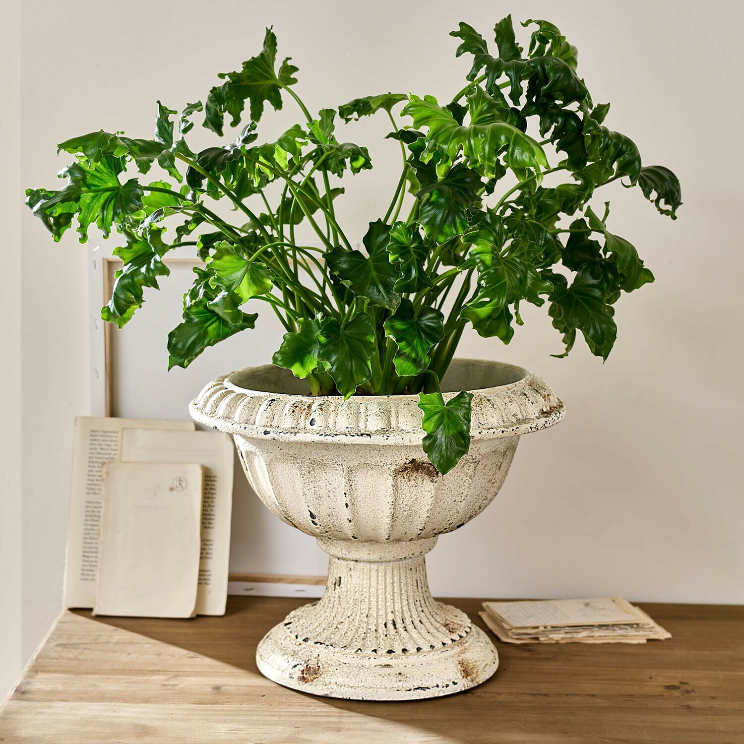 Ánfora Islene Maceta de cerámica blanca con planta verde sobre mesa de madera, decoración interior