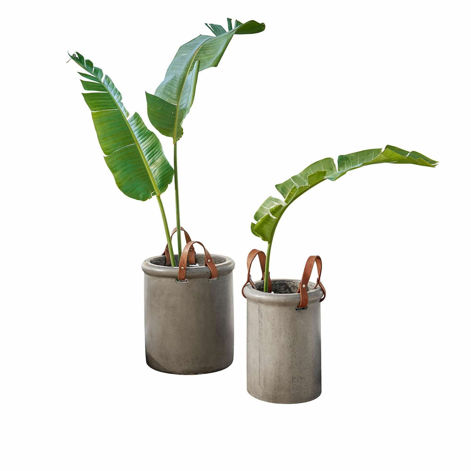 Set de 2 jardineras Tessonet