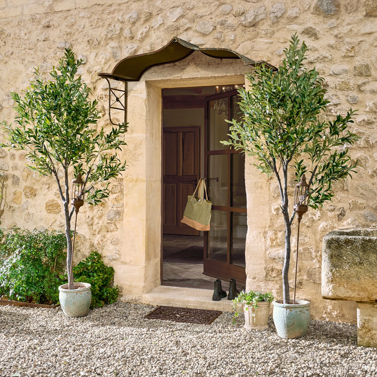 Olivo decorativo Faelira