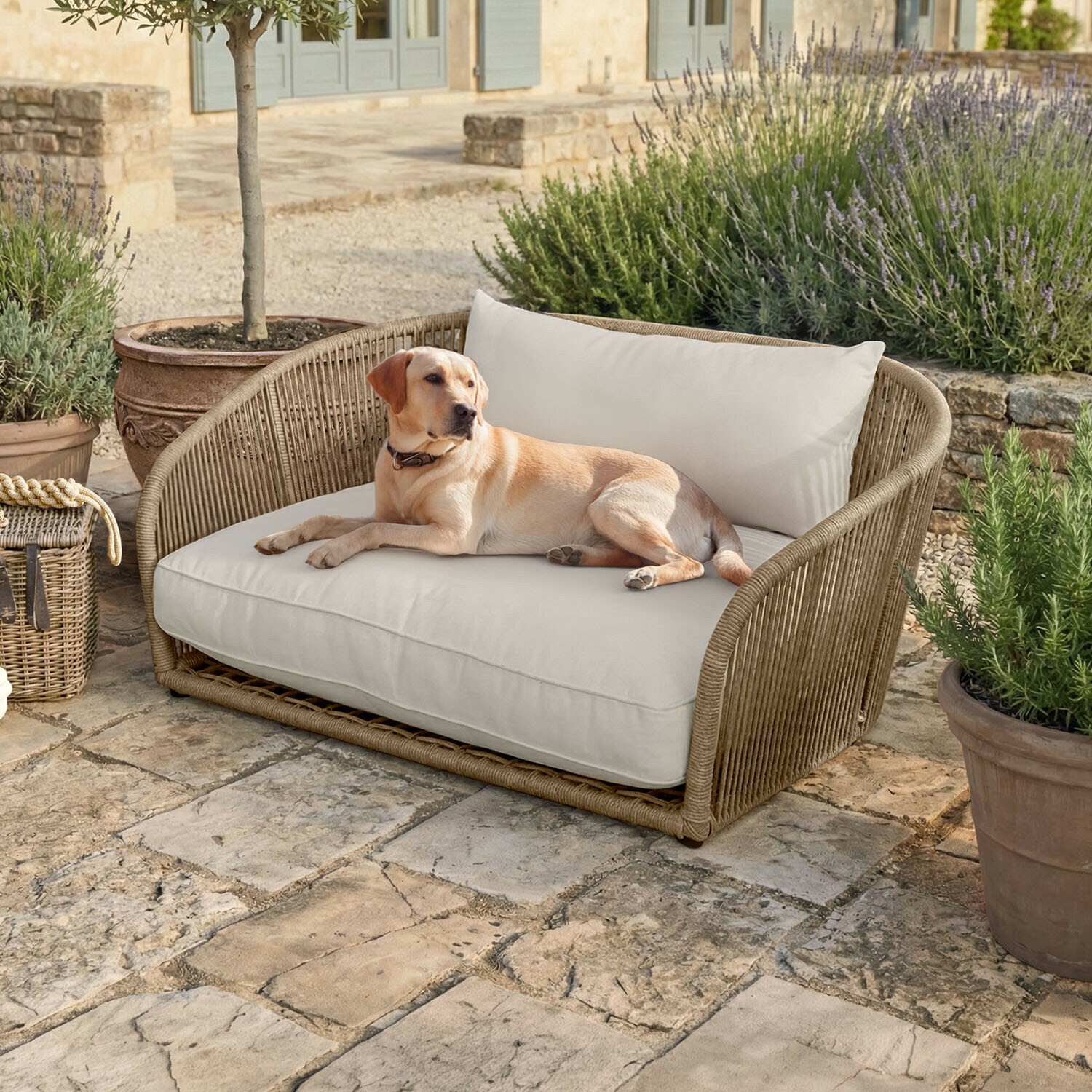 Sofá para mascota de interior y exterior Belvidere