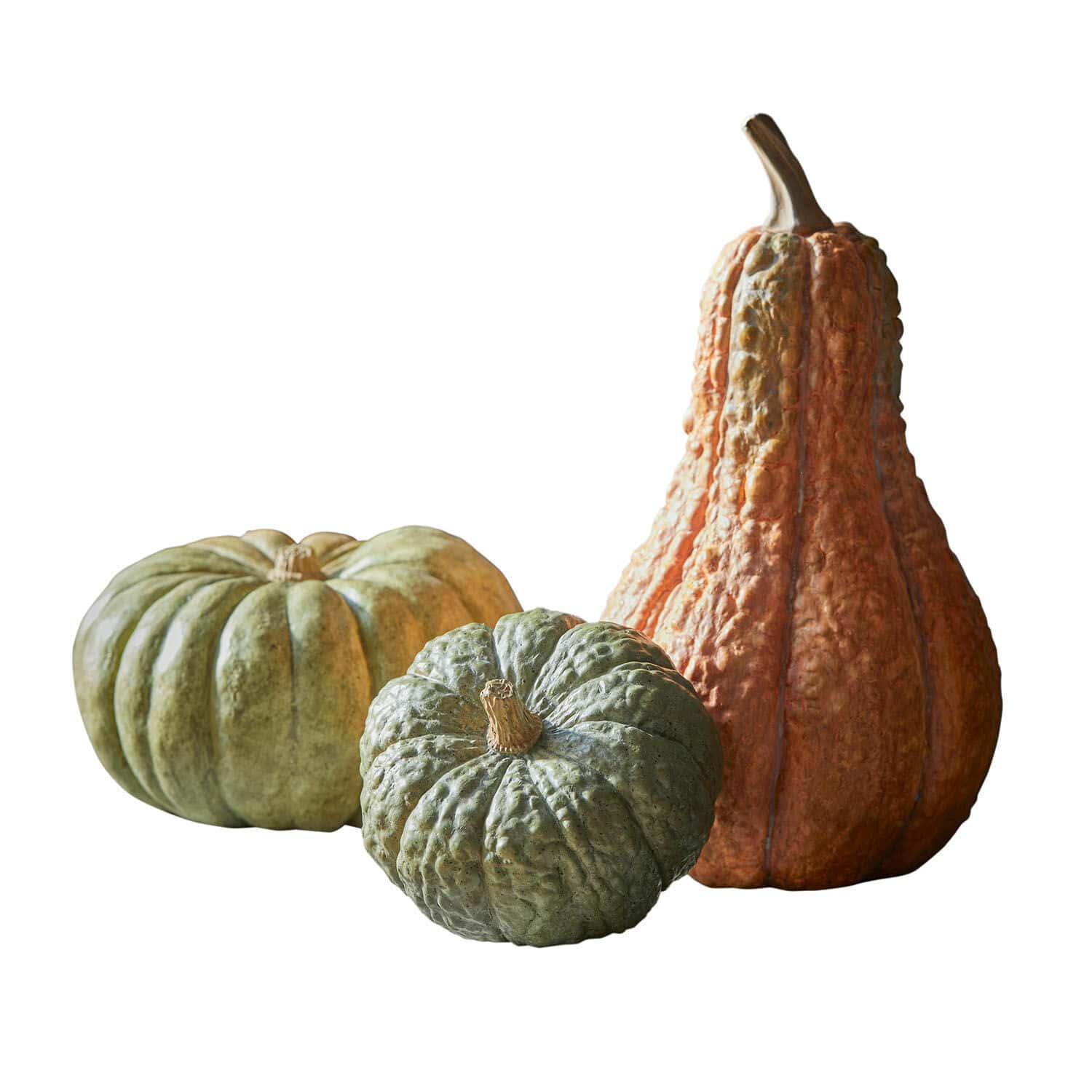 Set de 3 calabazas Raliven