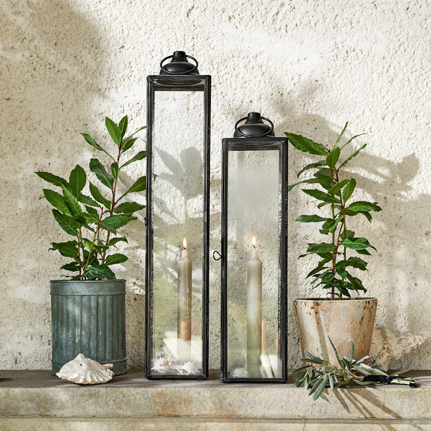 Set de 2 faroles Radu Dos faroles metálicos negros con vidrio transparente y velas blancas frente a pared con plantas