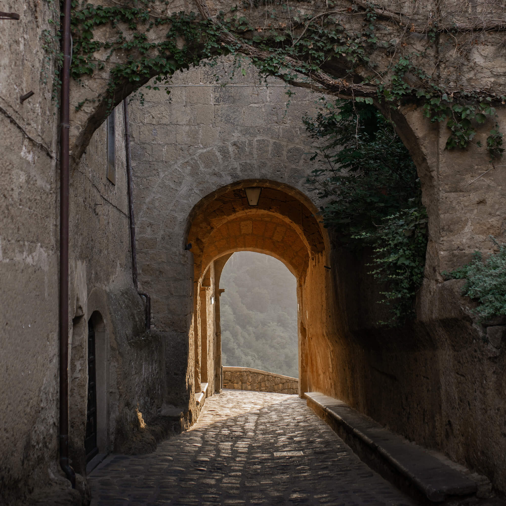 Arco de piedra con vid sobre camino empedrado iluminado con luz cálida en entorno histórico