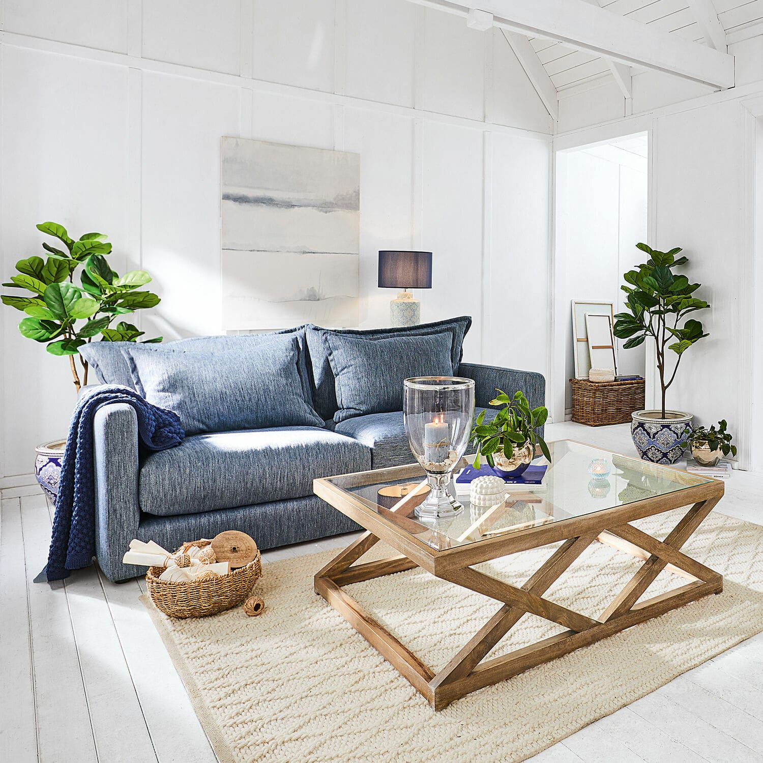 Planta decorativa en maceta Evolet