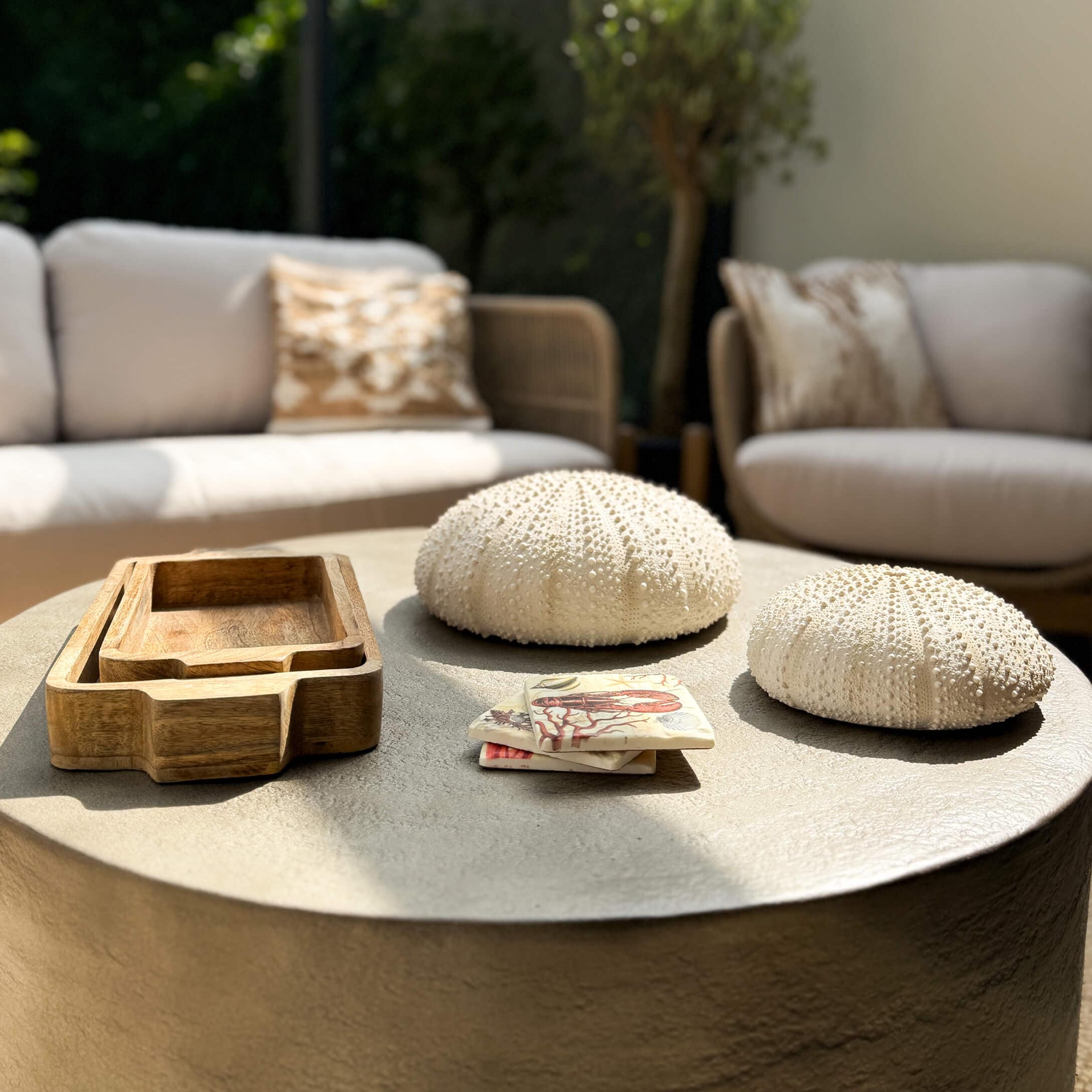 Decoración con erizos de mar blancos y bandejas de madera sobre mesa gris en salón moderno con sofás claros
