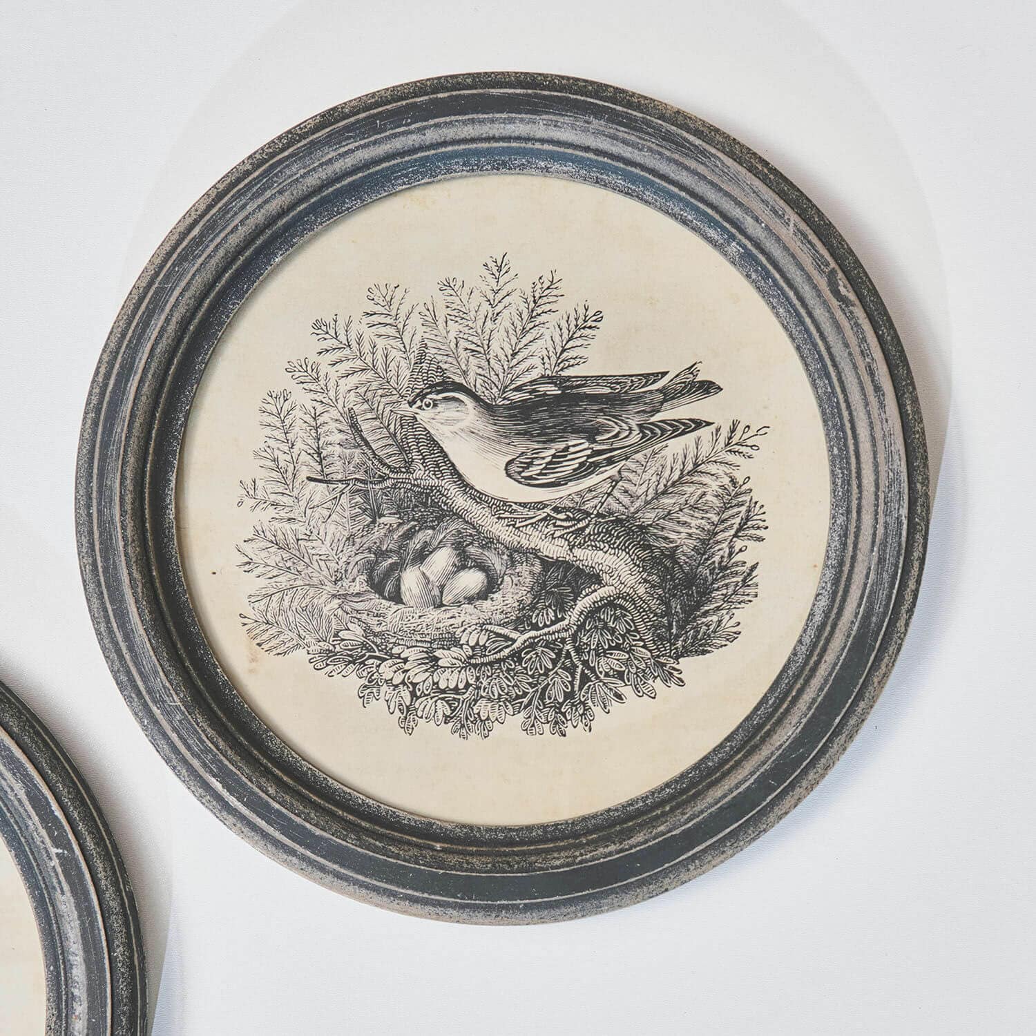 Set de 2 cuadros Finuala