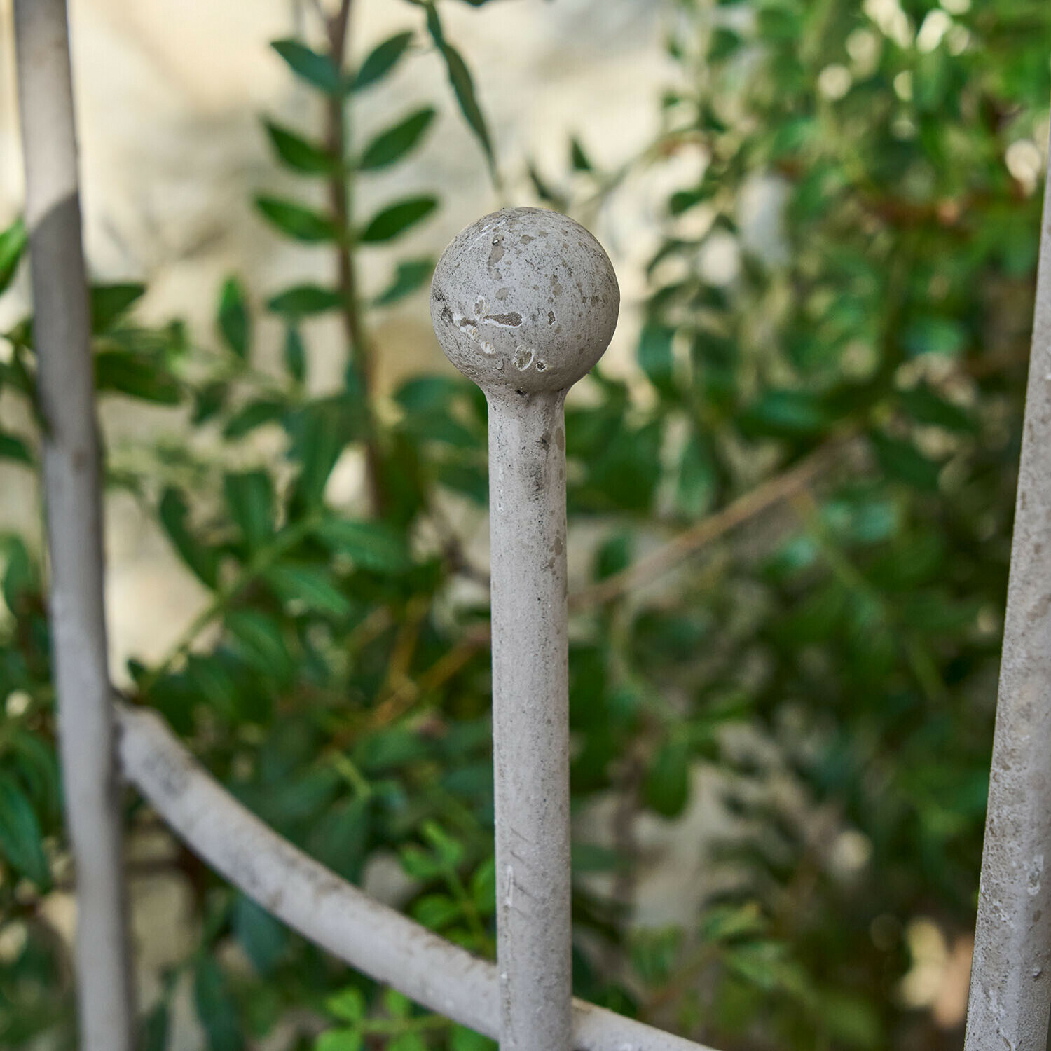 Soporte para plantas trepadoras Ormisse