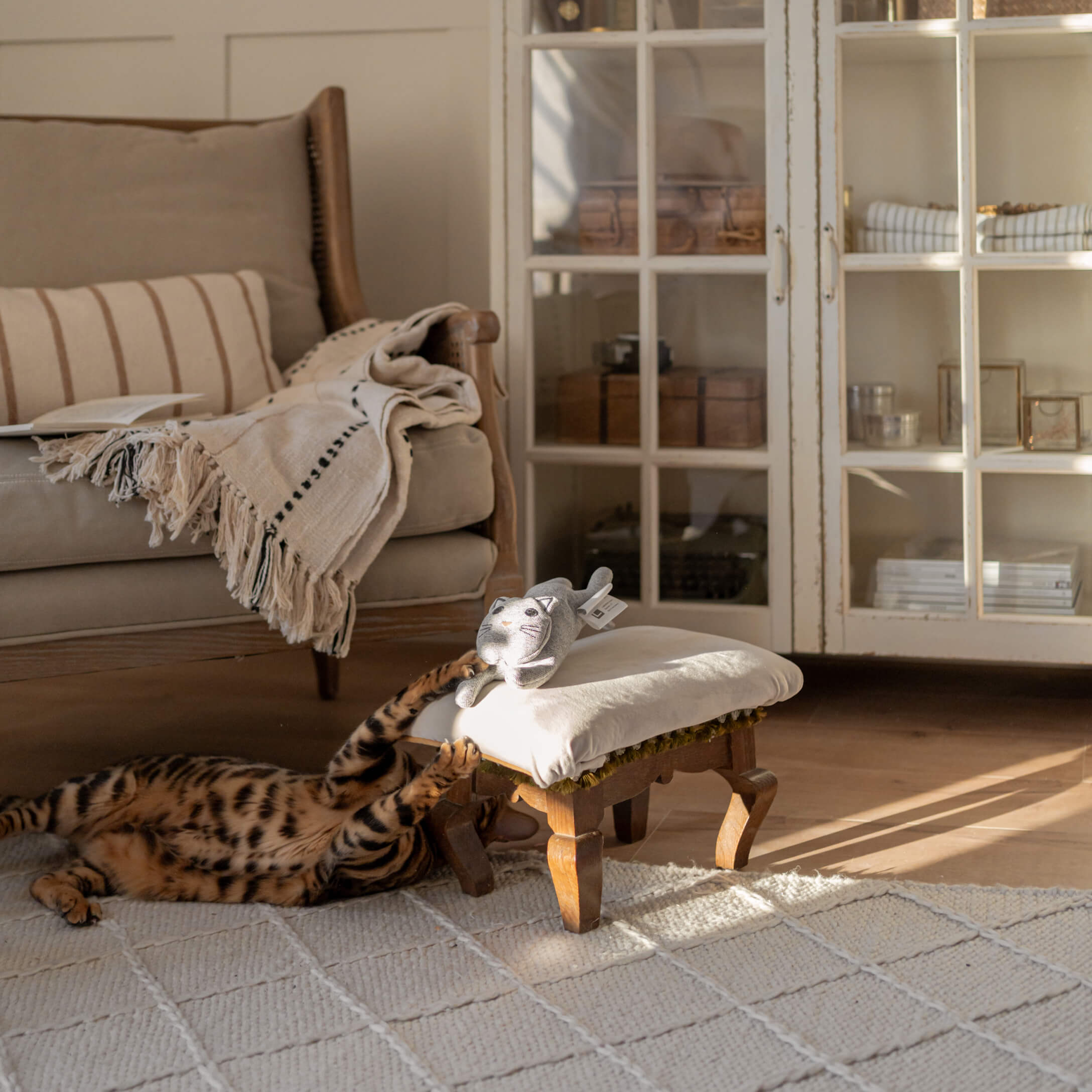 Gato de peluche gris sobre reposapiés blanco de madera en sala acogedora con gato jugando en alfombra