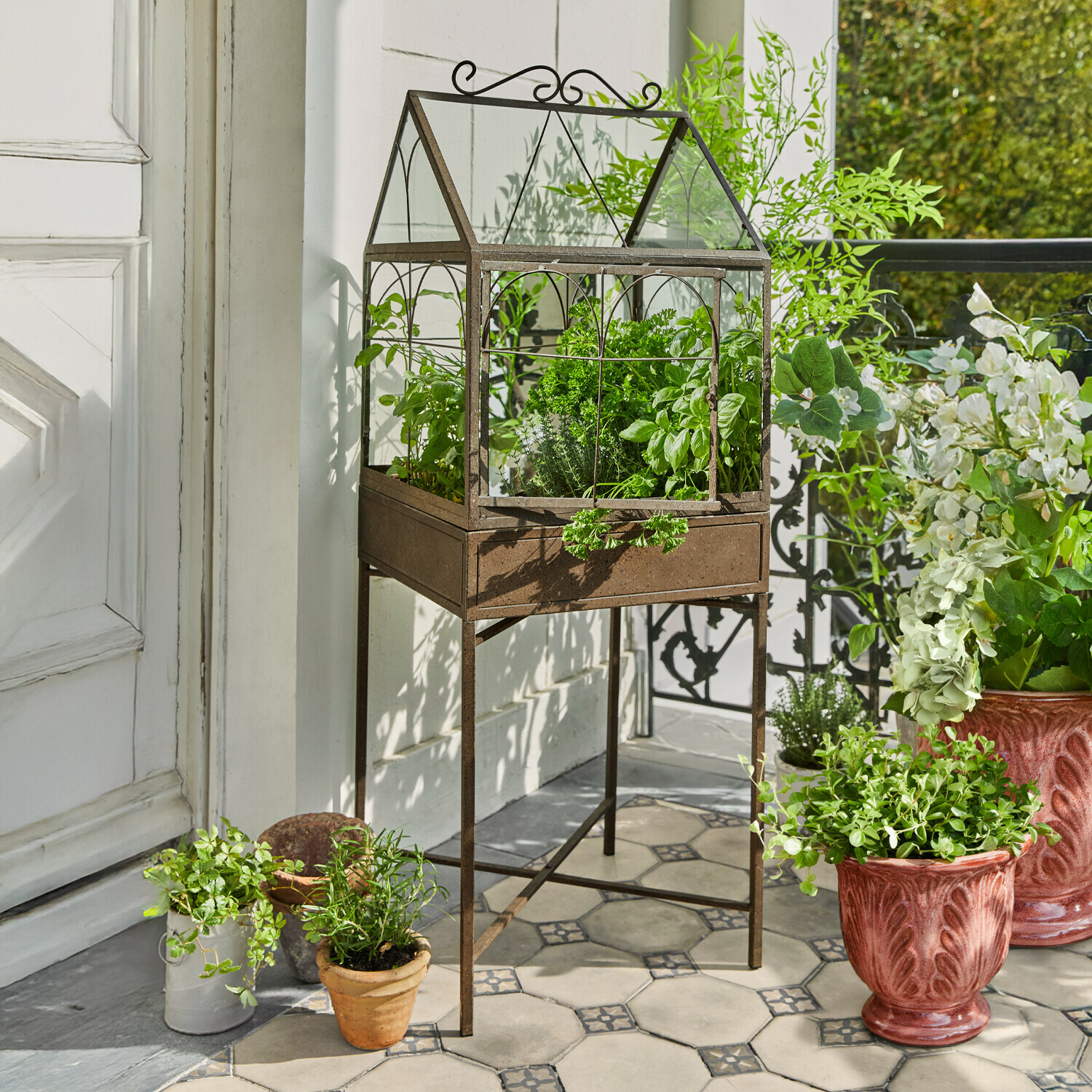 Invernadero metálico con acabado oxidado sobre soporte con hierbas verdes en terraza con baldosas