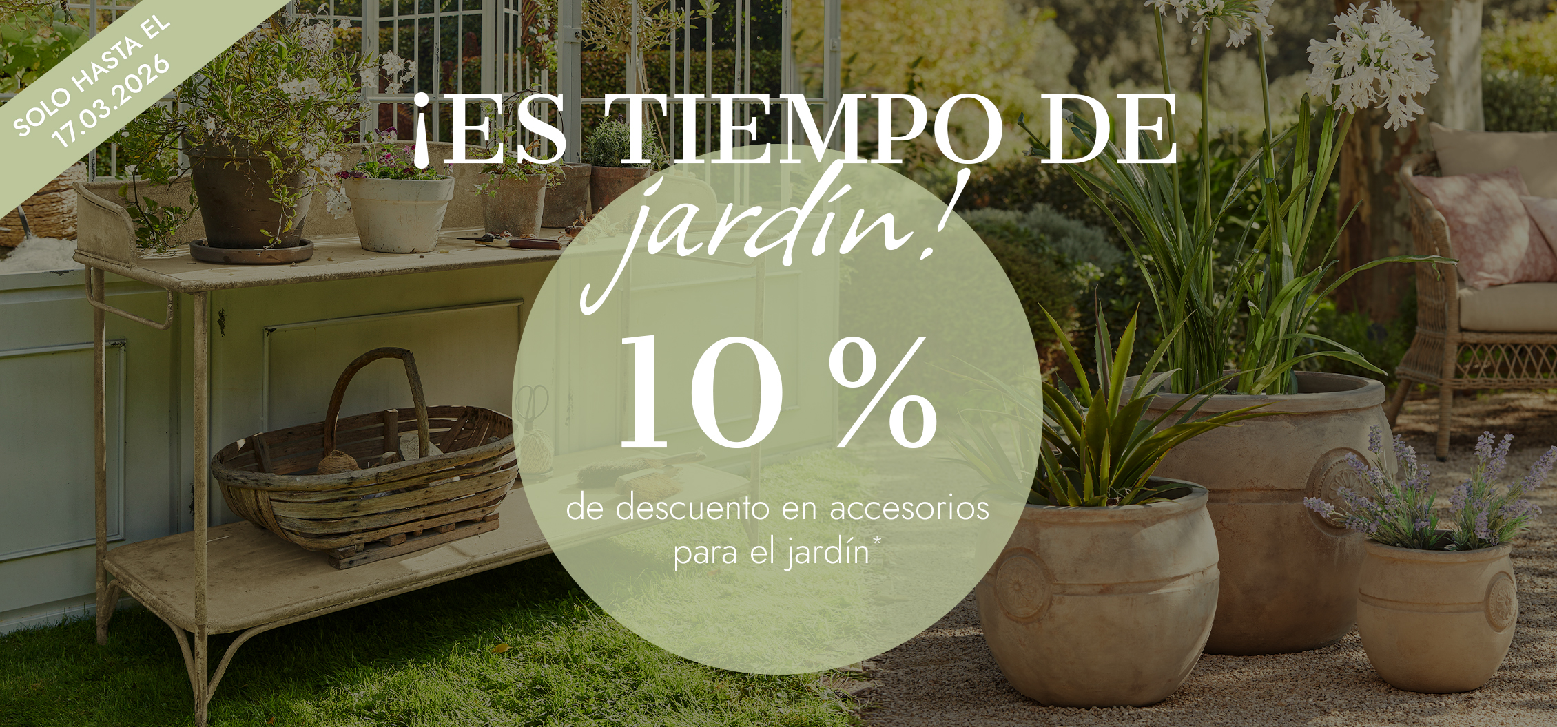 Jardín con macetas de terracota de varios tamaños y plantas verdes frente a muebles de jardín