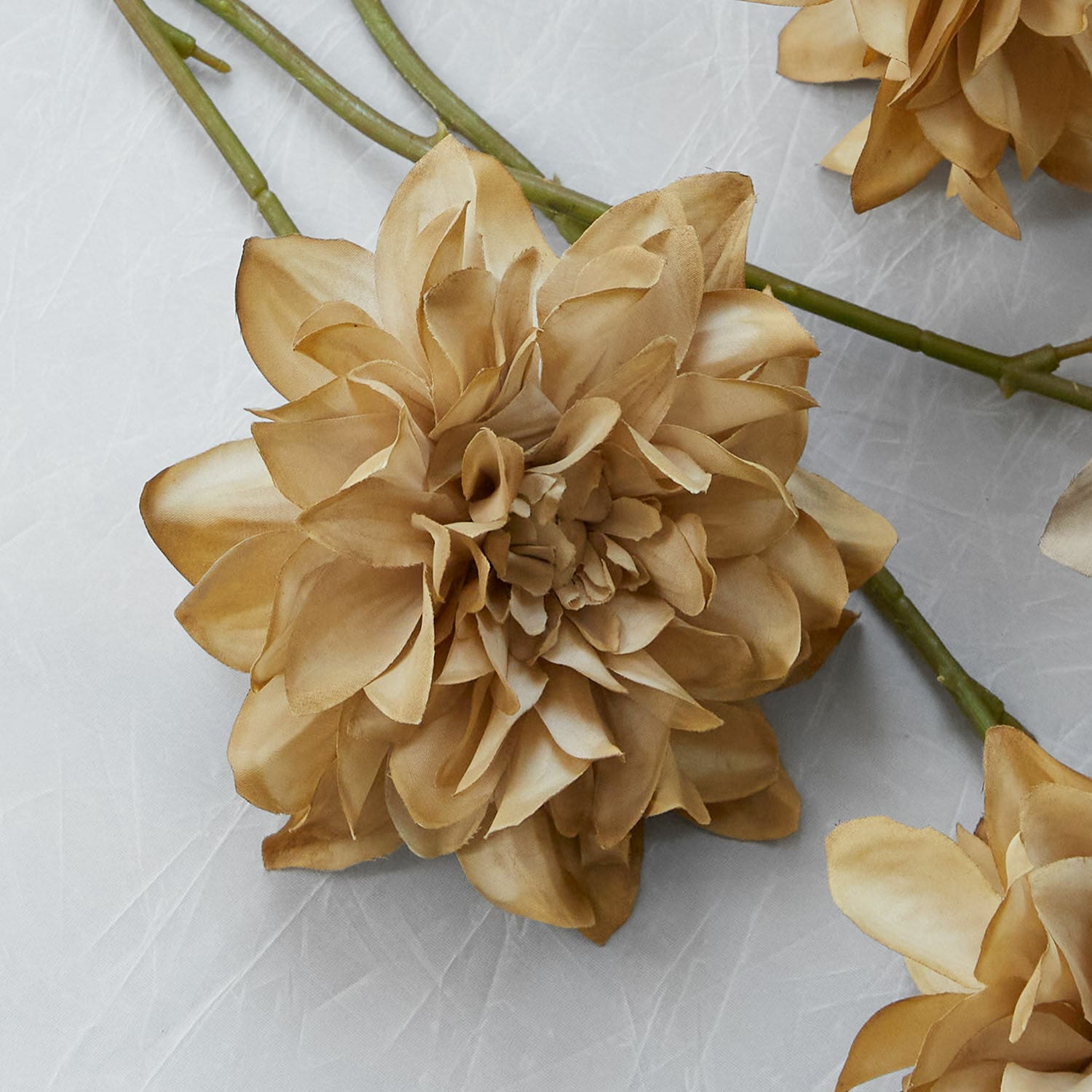 Set de 4 flores decorativas Cappellina