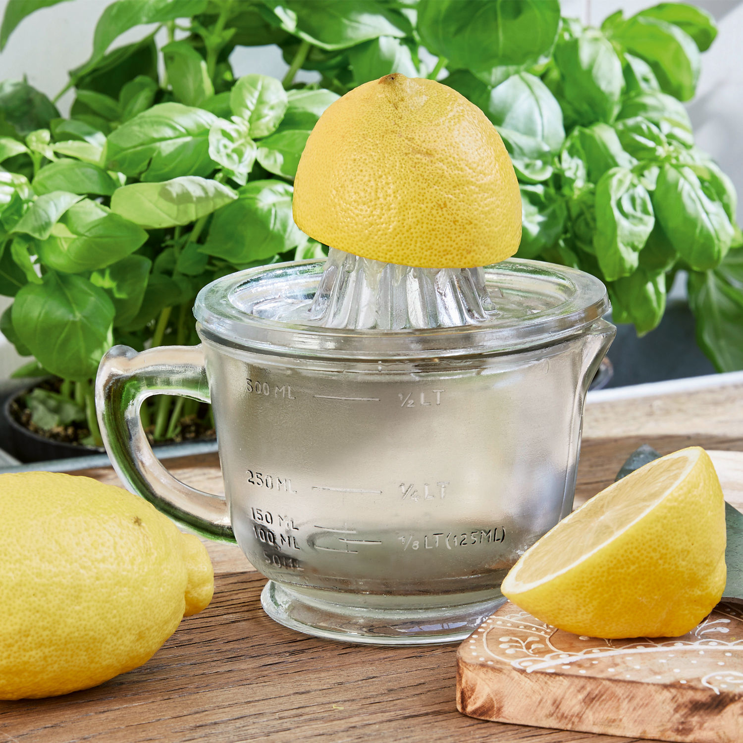 Exprimidor de limones Cindy Exprimidor de cítricos de vidrio con medidor, limón amarillo sobre tabla de madera, hierbas frescas al fondo