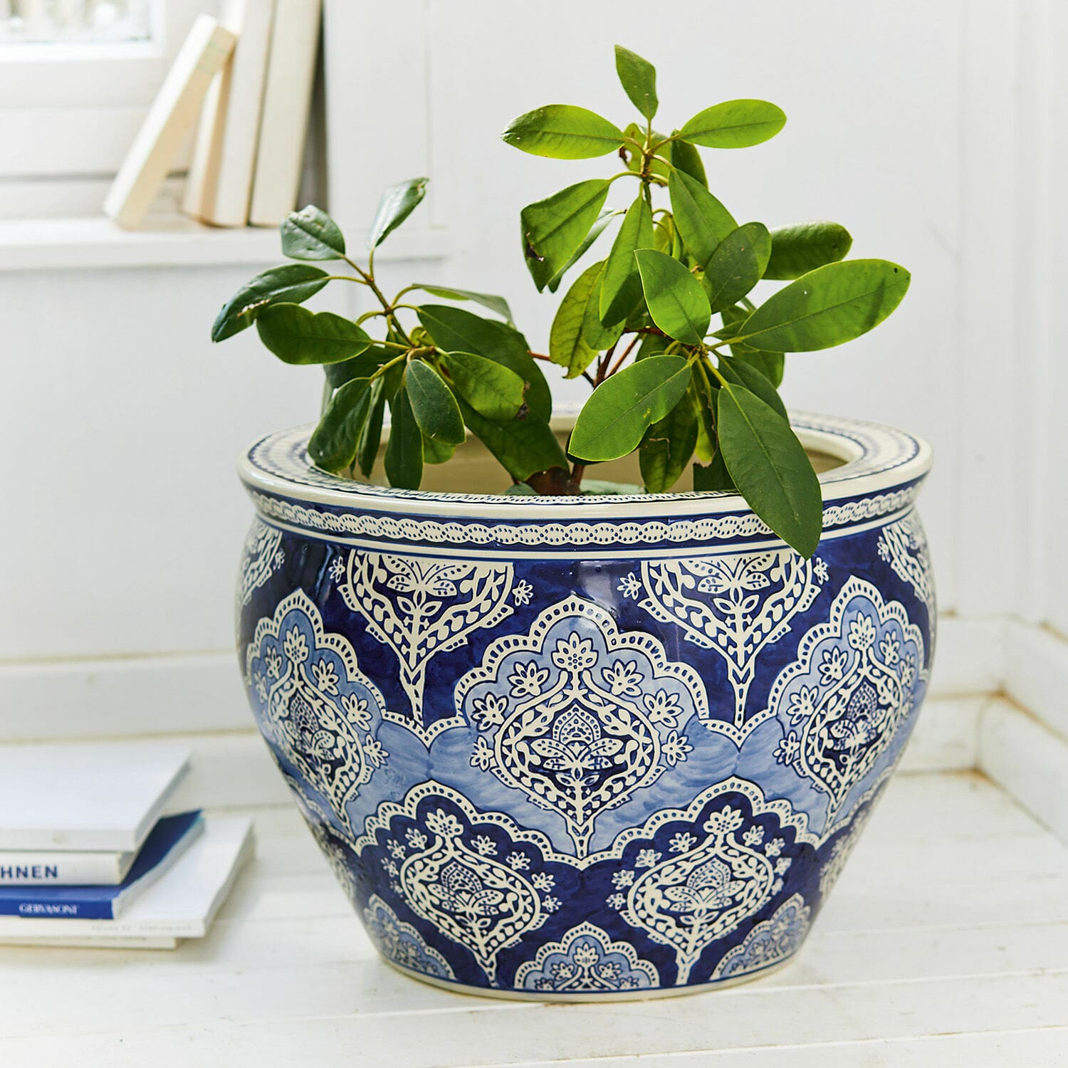 Macetero Aurélie Maceta de cerámica azul y blanca con planta verde, decoración interior sobre suelo claro