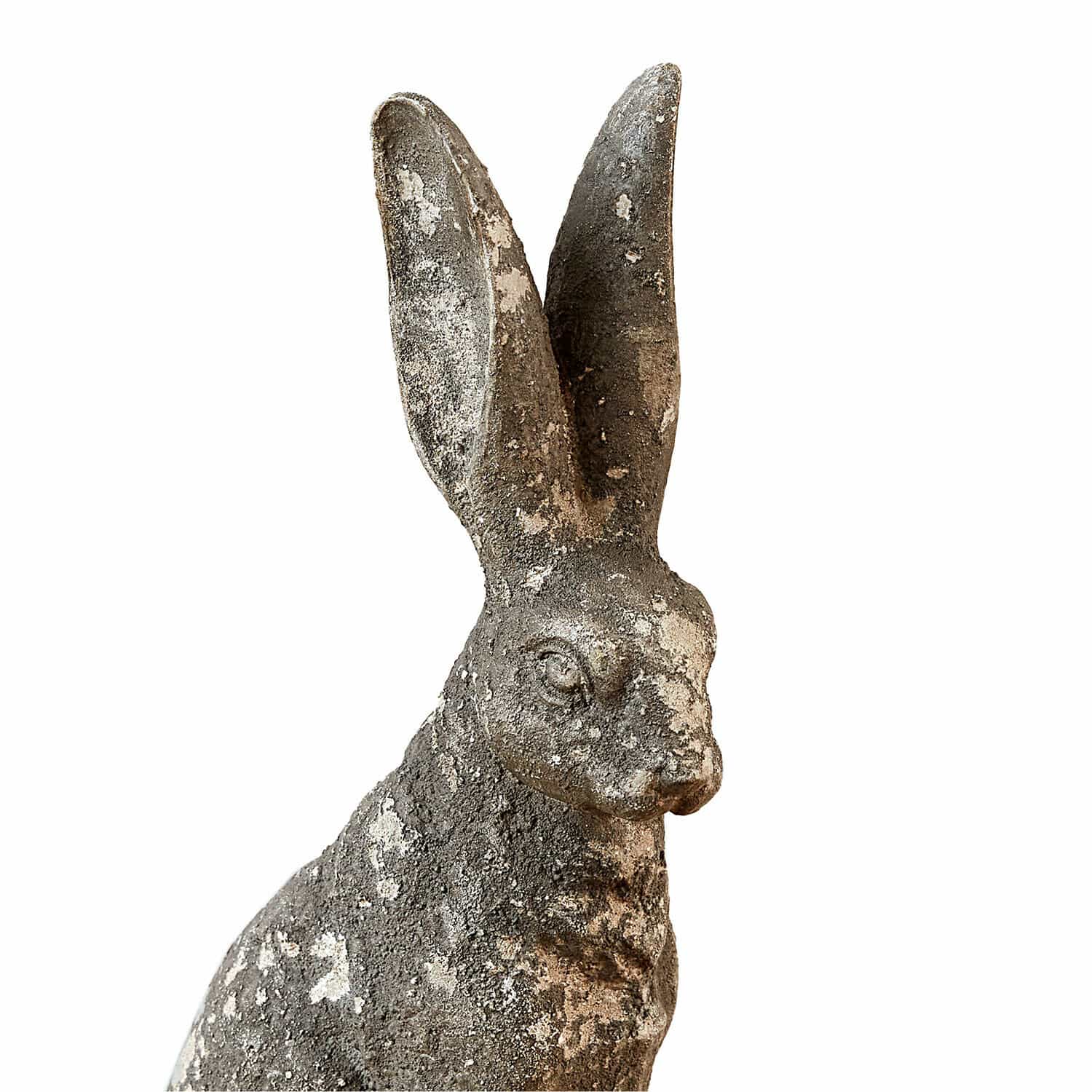 Conejo decorativo Nivelles