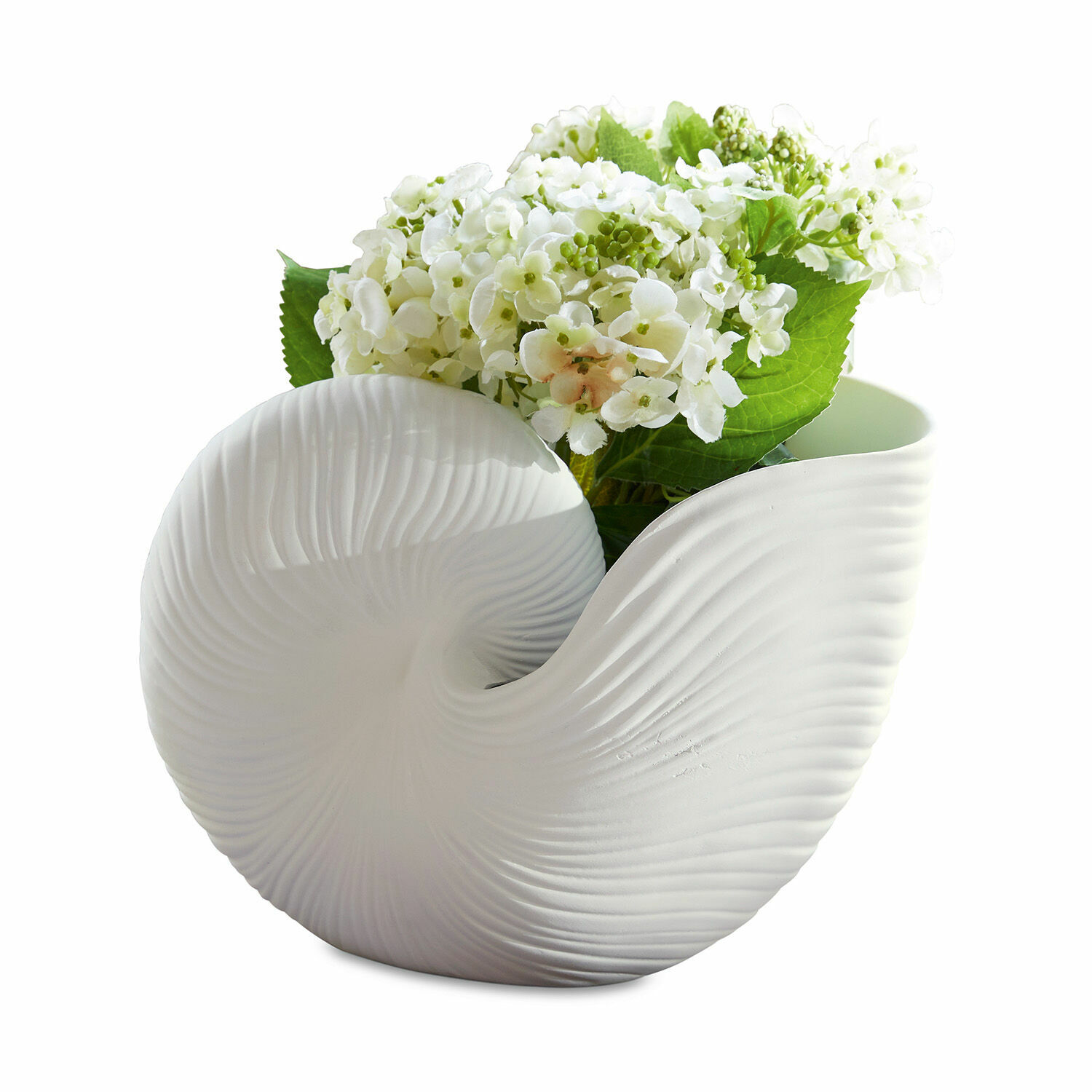 Maceta Manteur Jarrón de cerámica blanca con forma de concha y textura, decorado con flores blancas, diseño moderno
