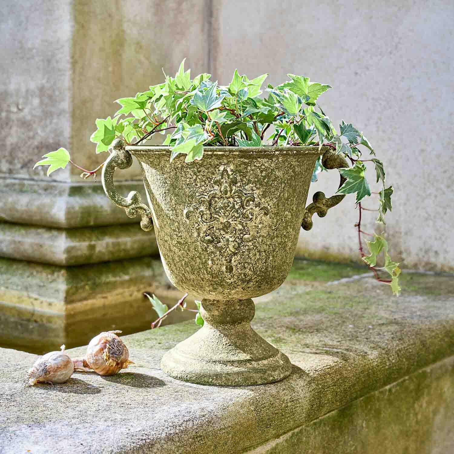 Maceta decorativa verde envejecida con hiedra y bulbos sobre muro de piedra en exterior