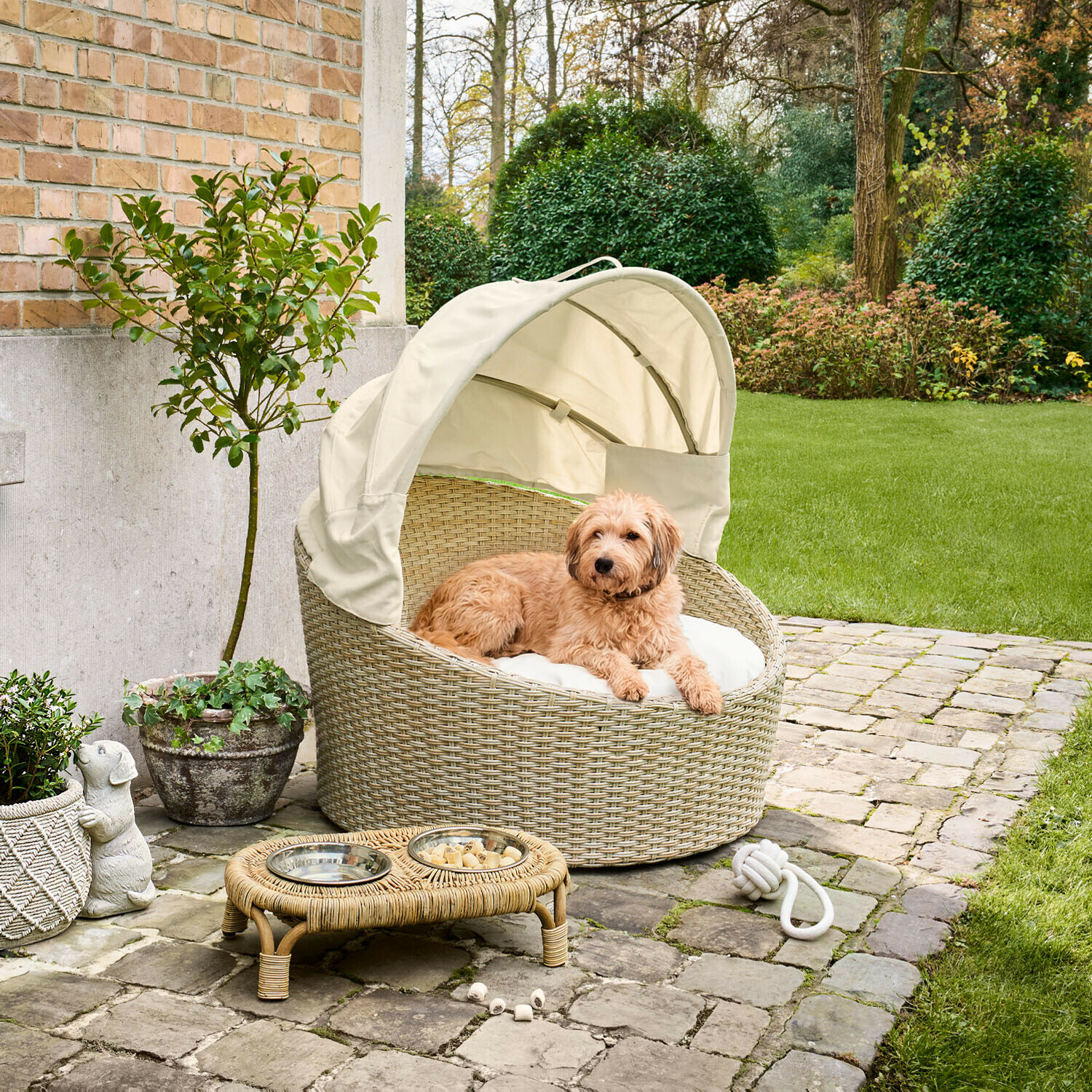 Cesta para mascota de interior y exterior Brinelza