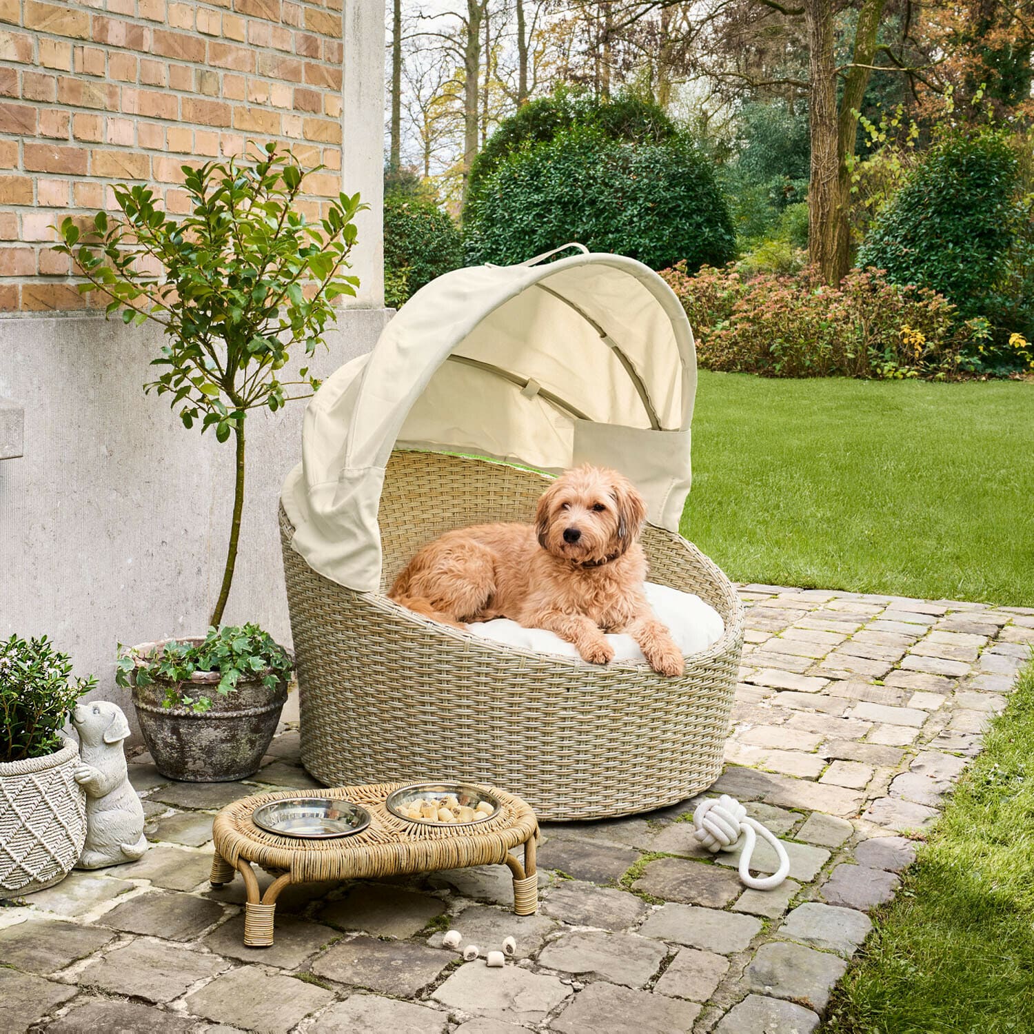 Cesta para mascota de interior y exterior Brinelza Cama redonda para perro de ratán beige con dosel crema y cojín en terraza adoquinada