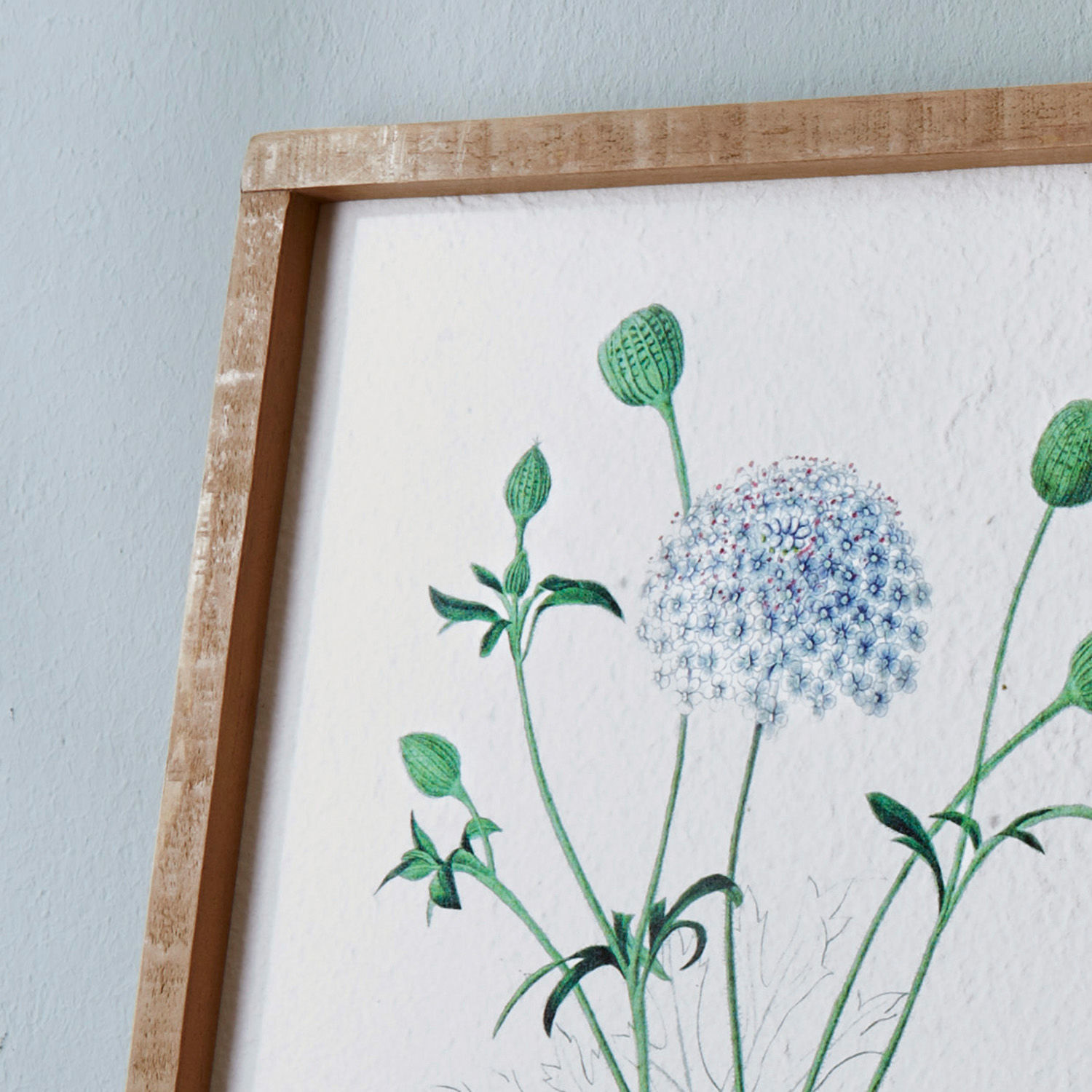 Set de 2 cuadros Botanic